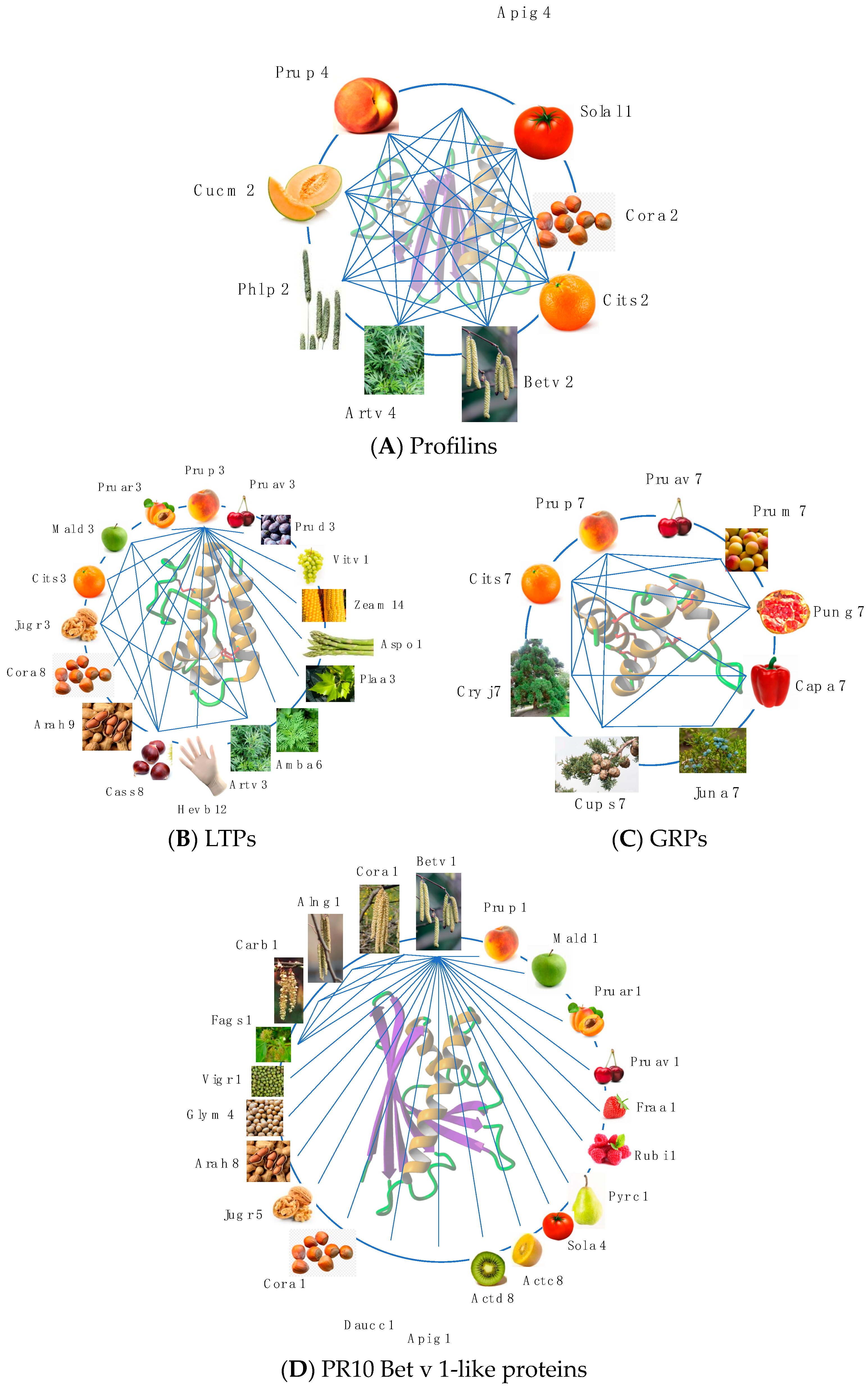 Allergies 03 00010 g046