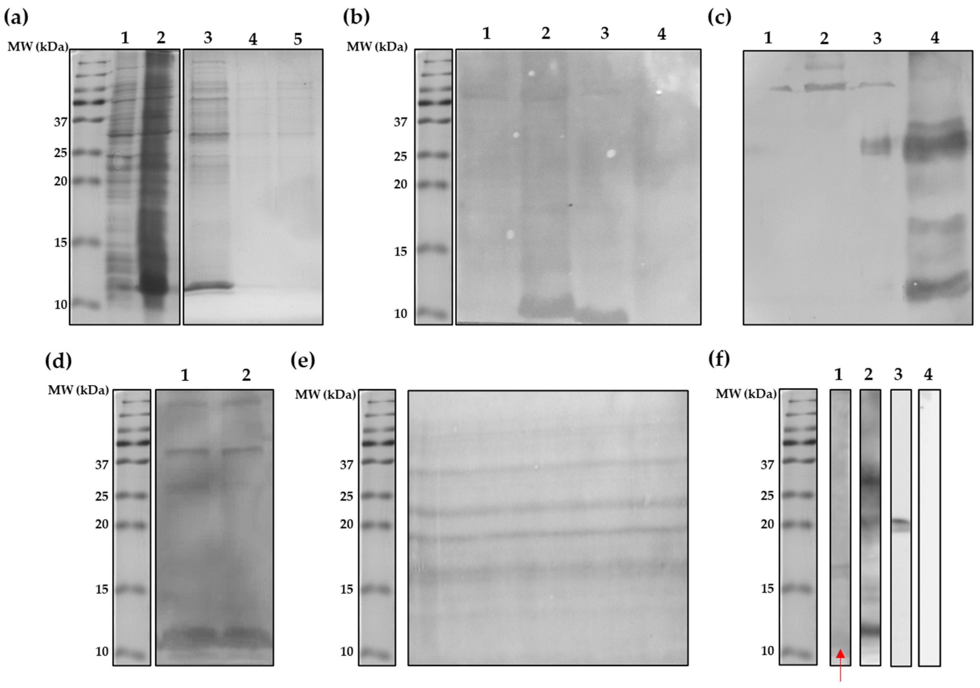 Allergies 03 00012 g001
