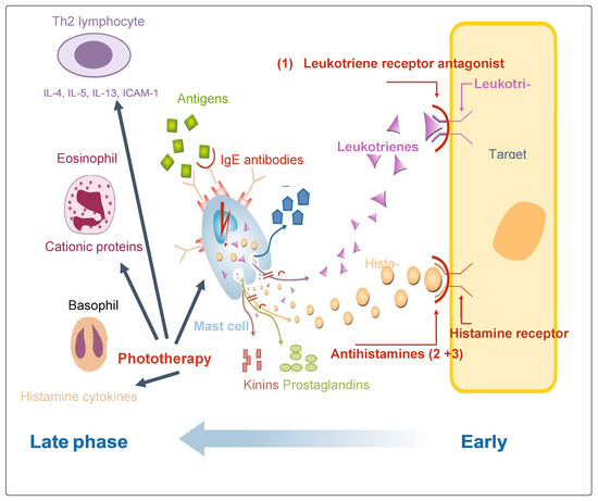 The Role of Air Purifiers in Managing Allergic Rhinitis: Relief & Benefits