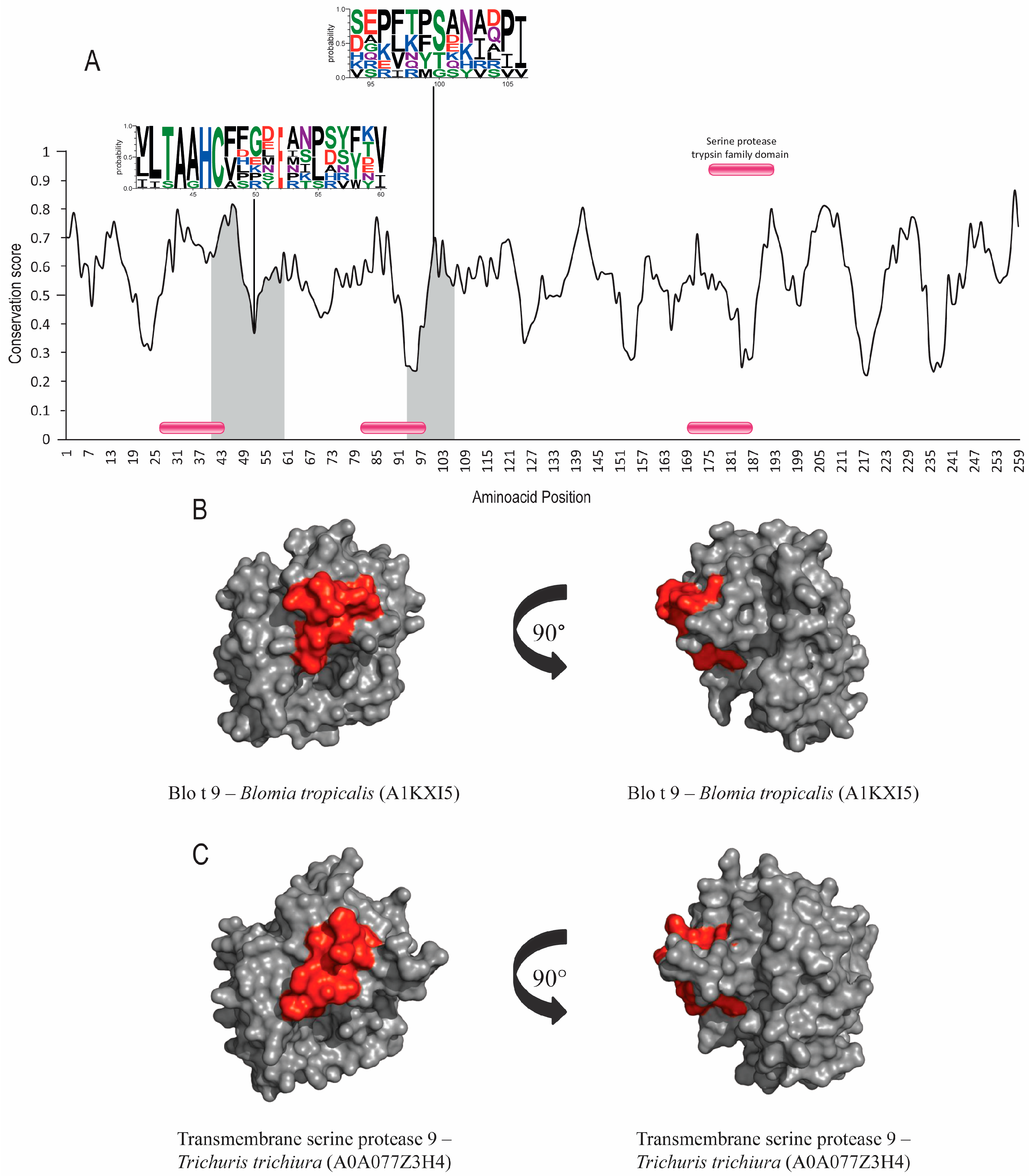 Allergies 04 00006 g002