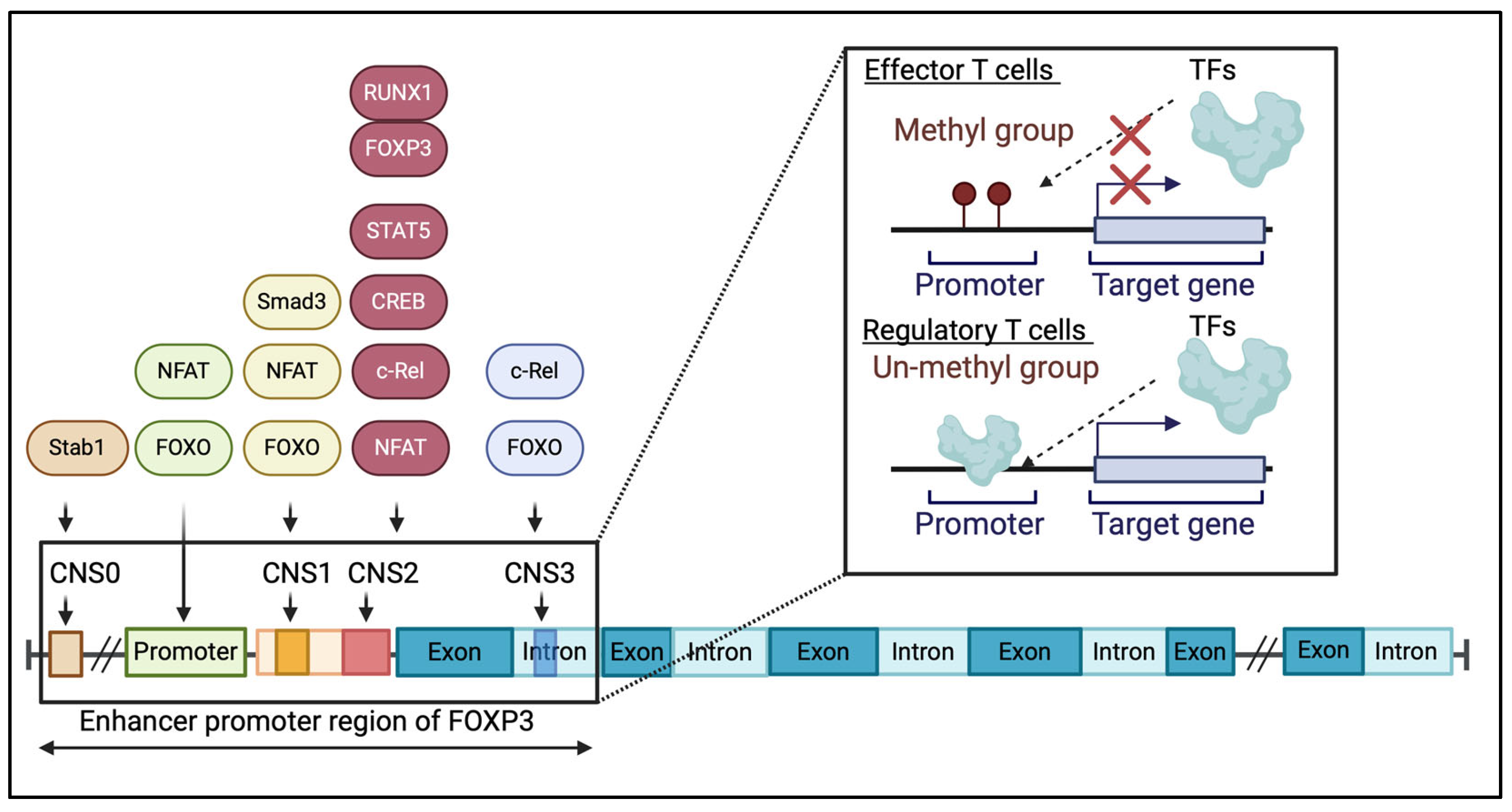 Allergies 05 00006 g002