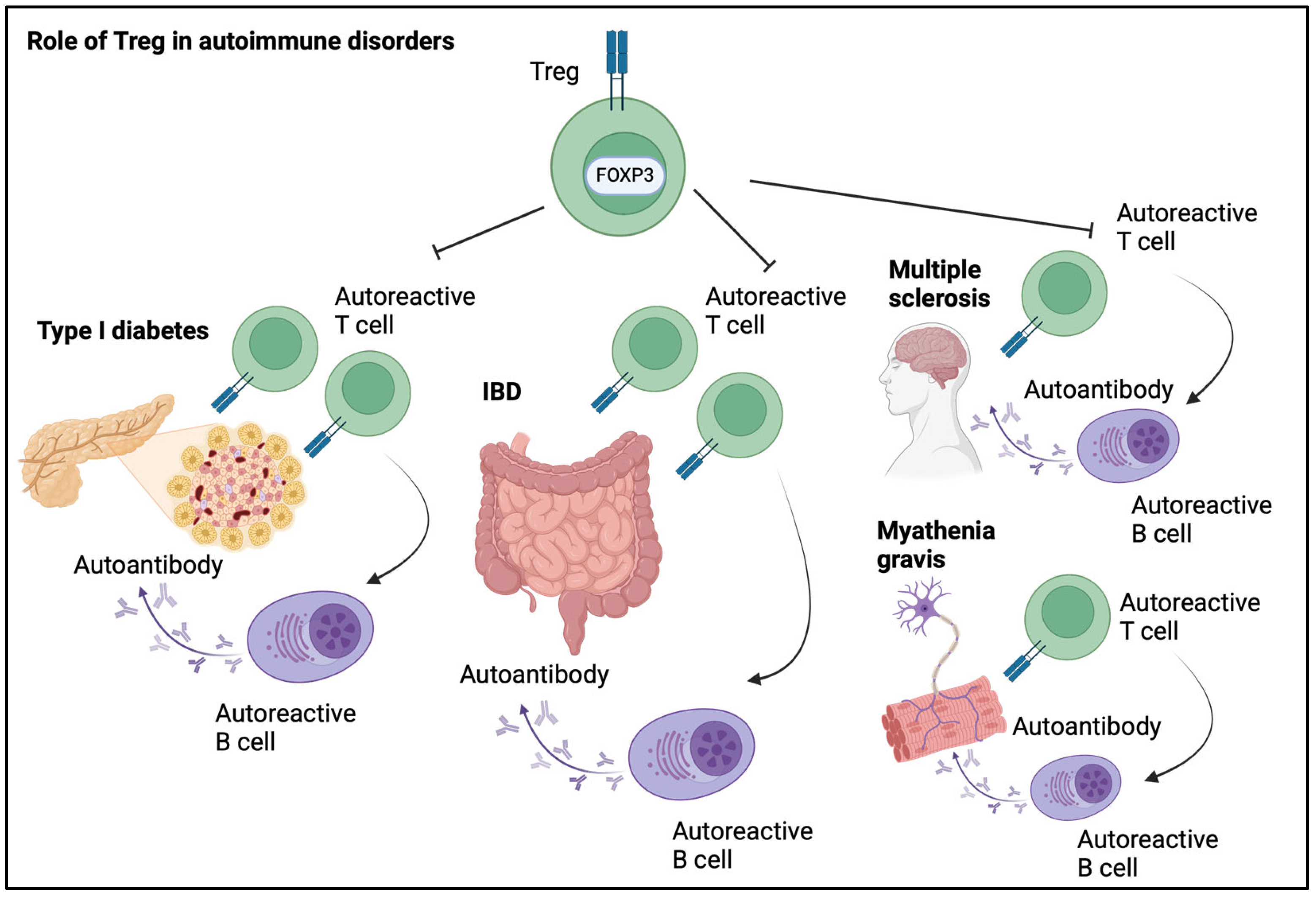 Allergies 05 00006 g004