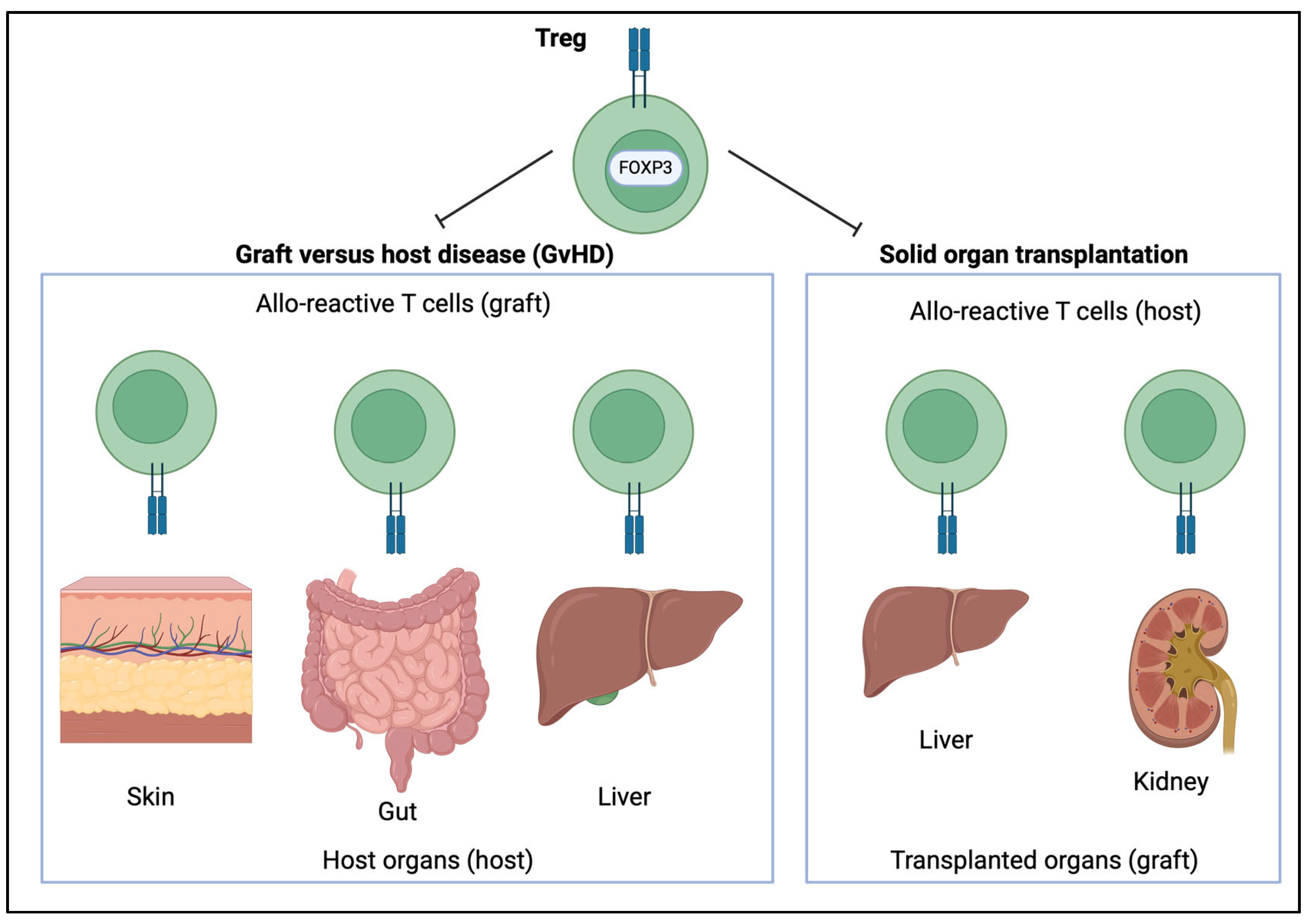 Allergies 05 00006 g005