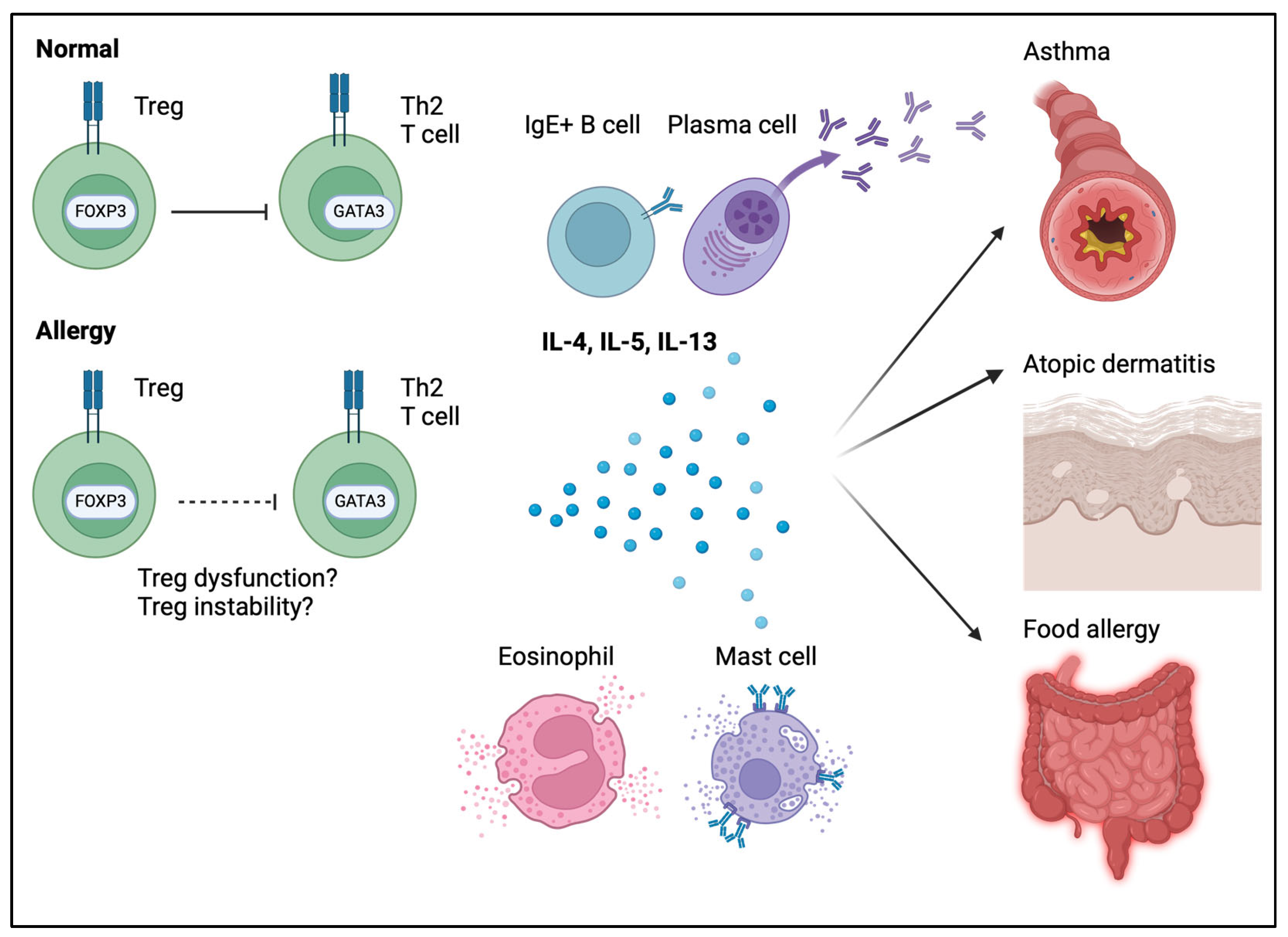 Allergies 05 00006 g006