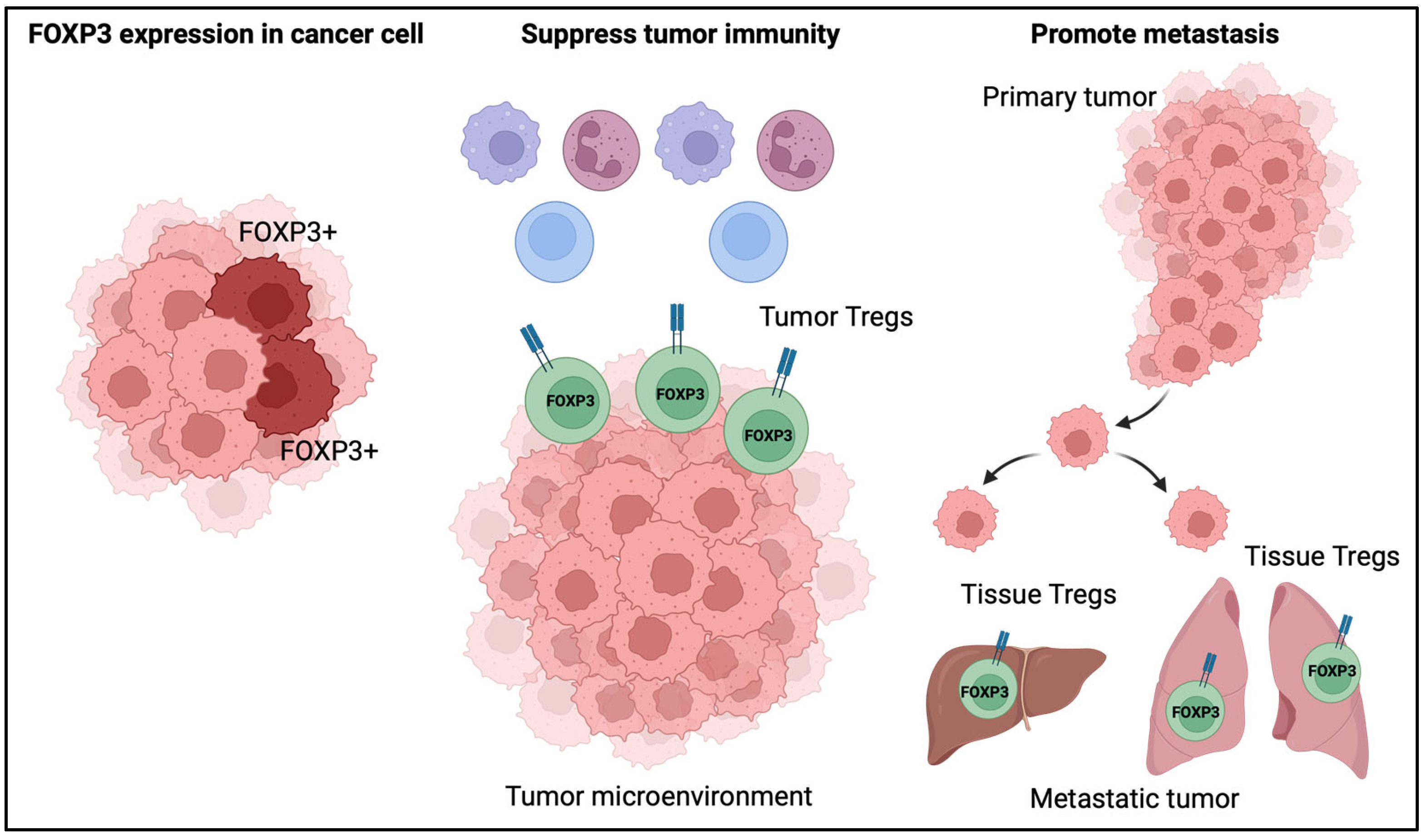 Allergies 05 00006 g007