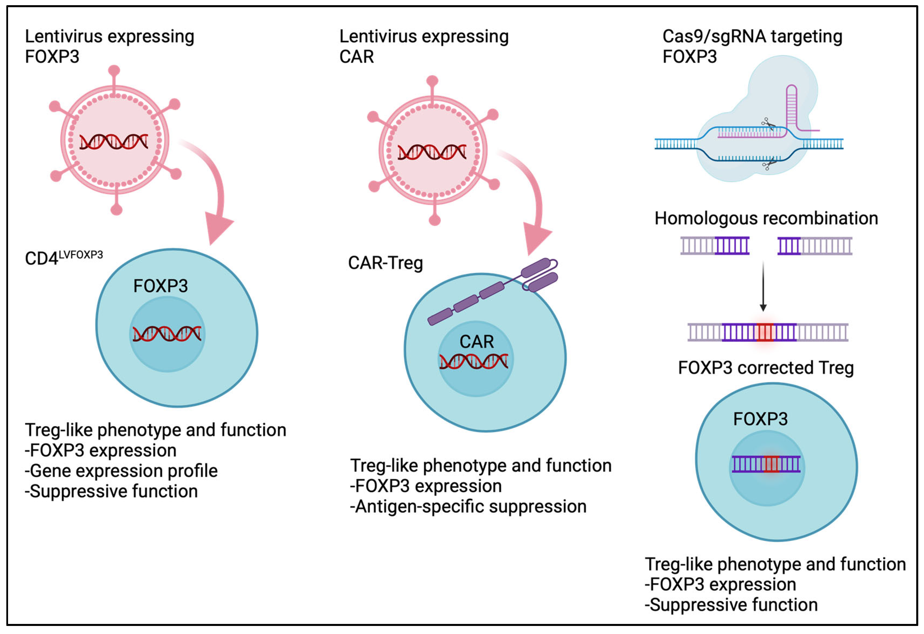Allergies 05 00006 g008