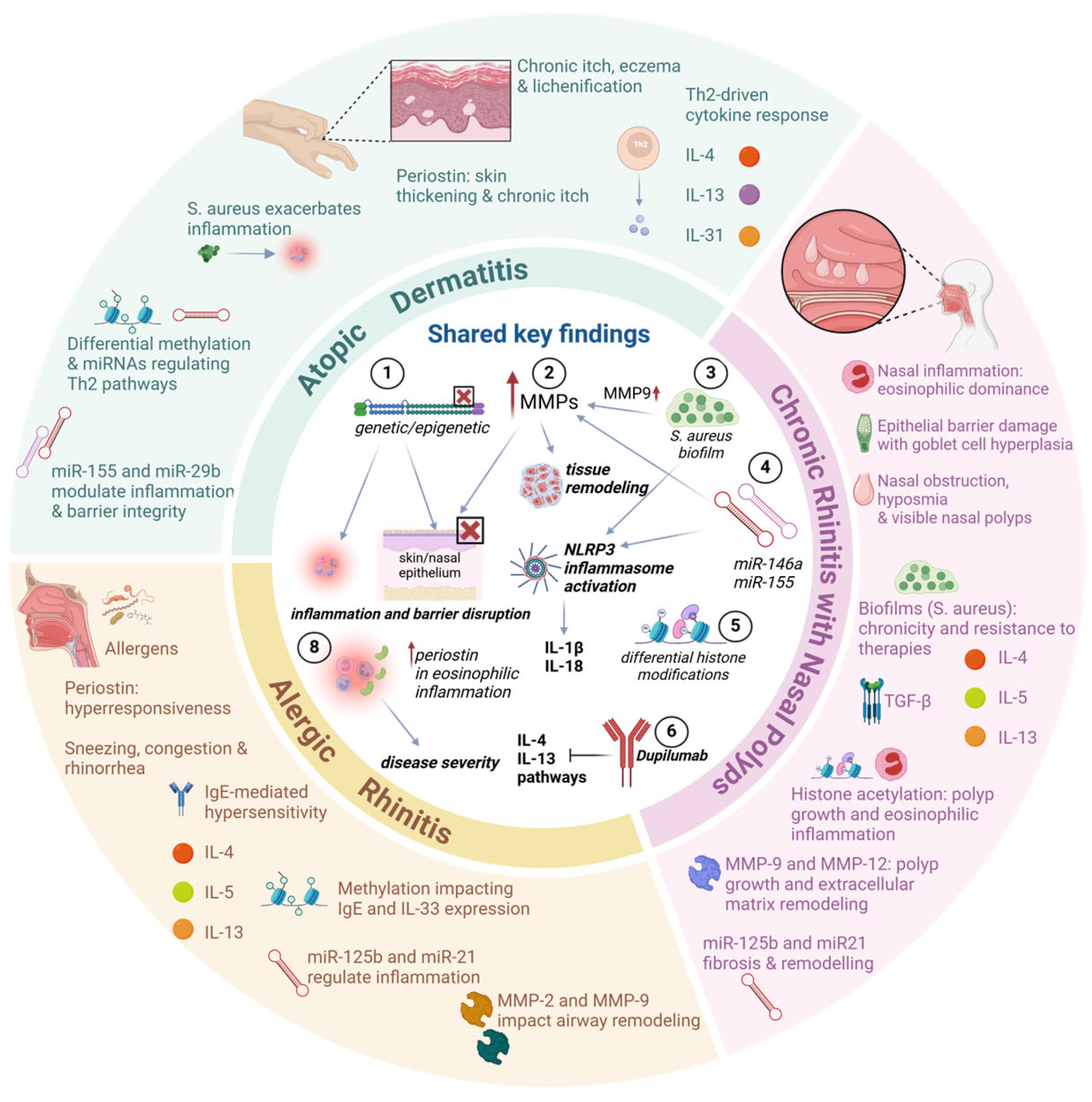 Allergies 05 00009 g002