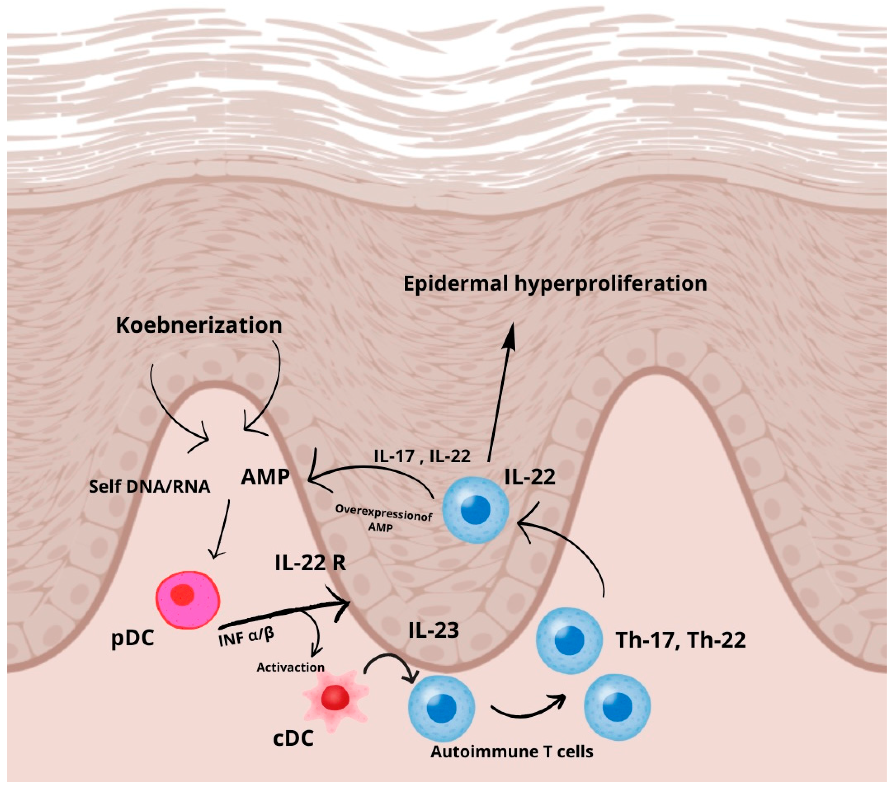 Allergies 05 00019 g001