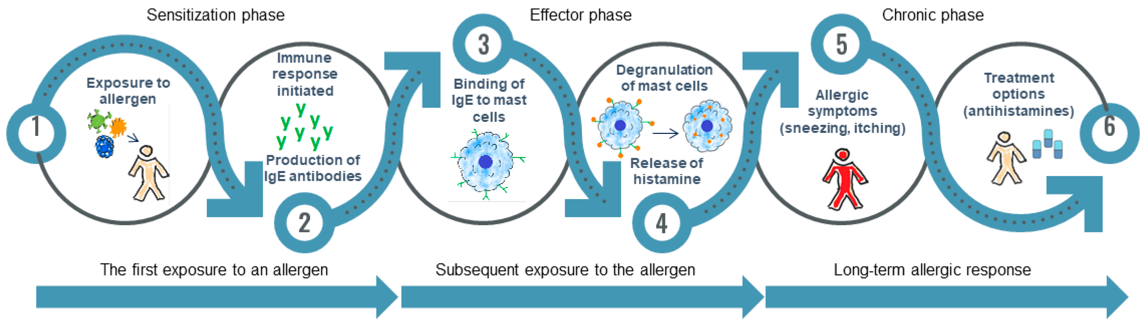 Allergies 05 00022 g001