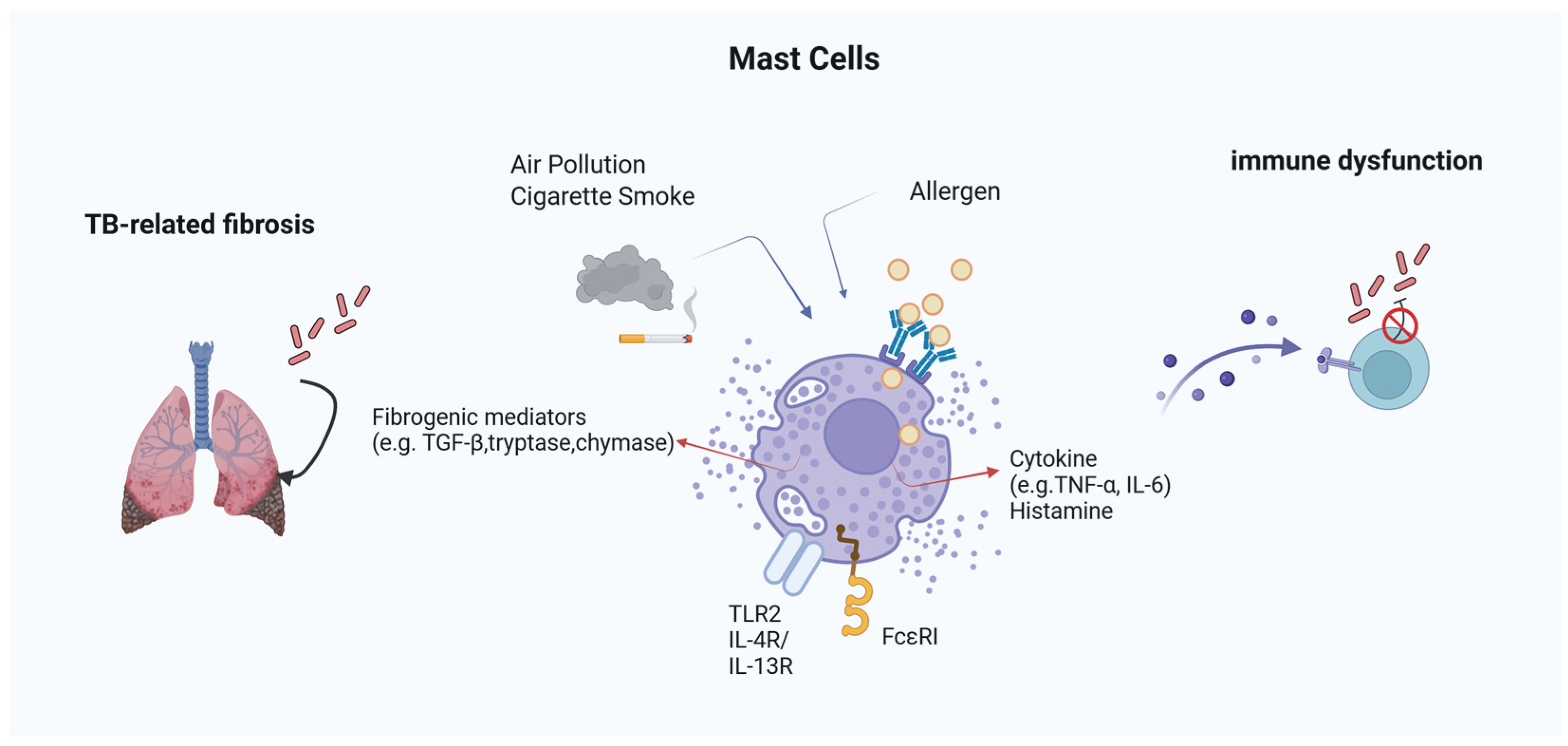 Allergies 05 00030 g001