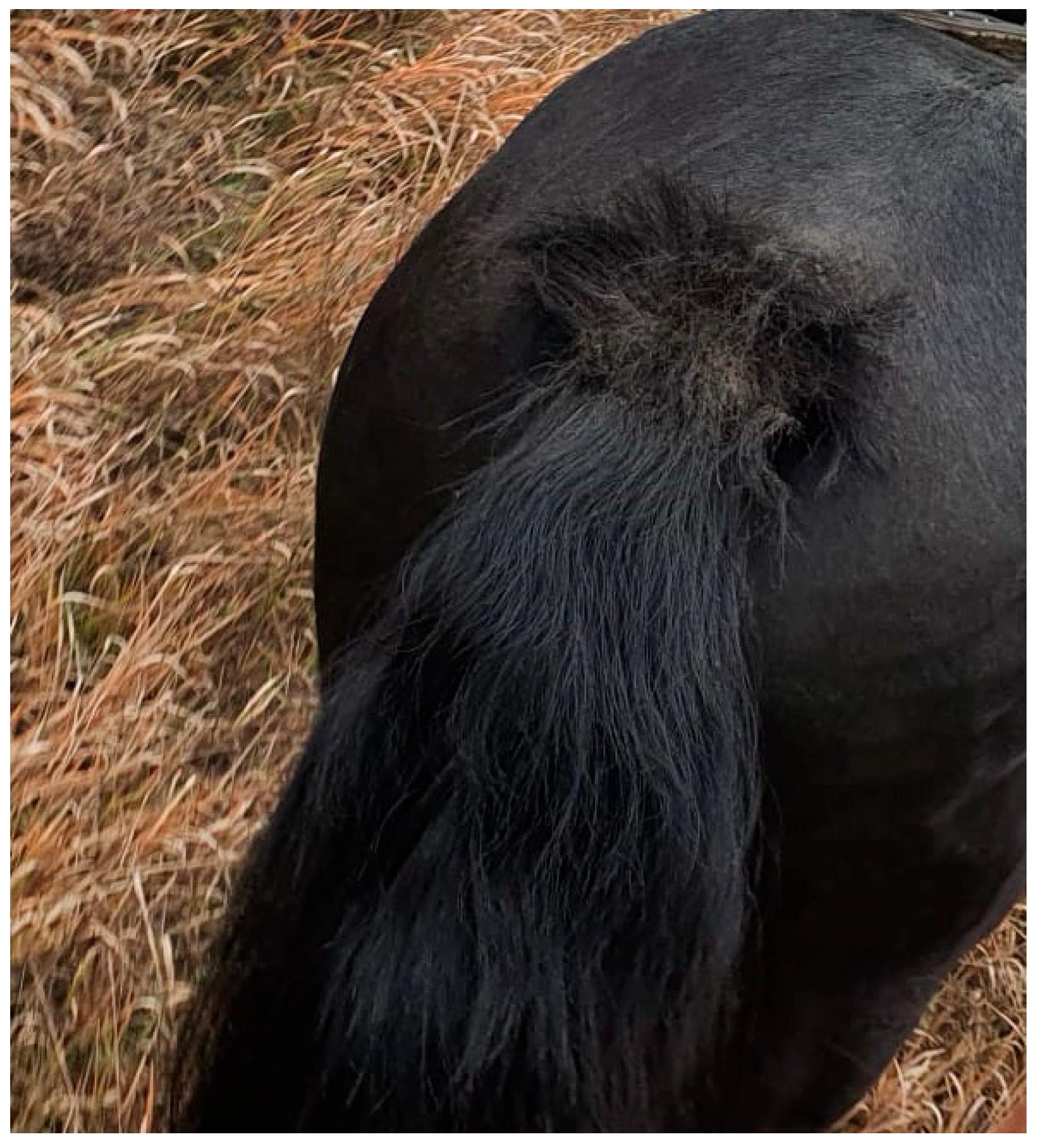 Allergies 05 00031 g003 Allergies 05 00031 g003