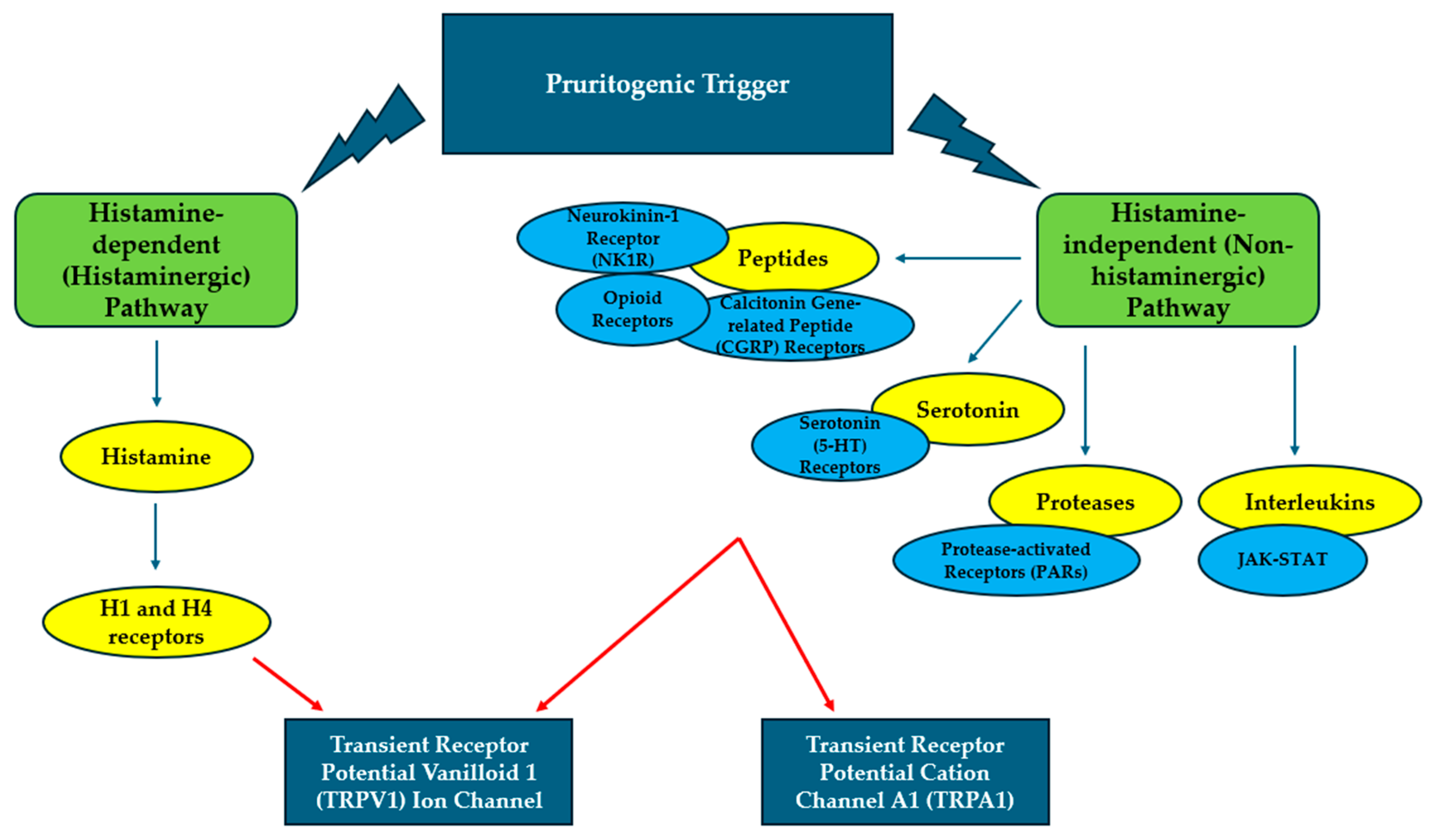 Allergies 05 00032 g001