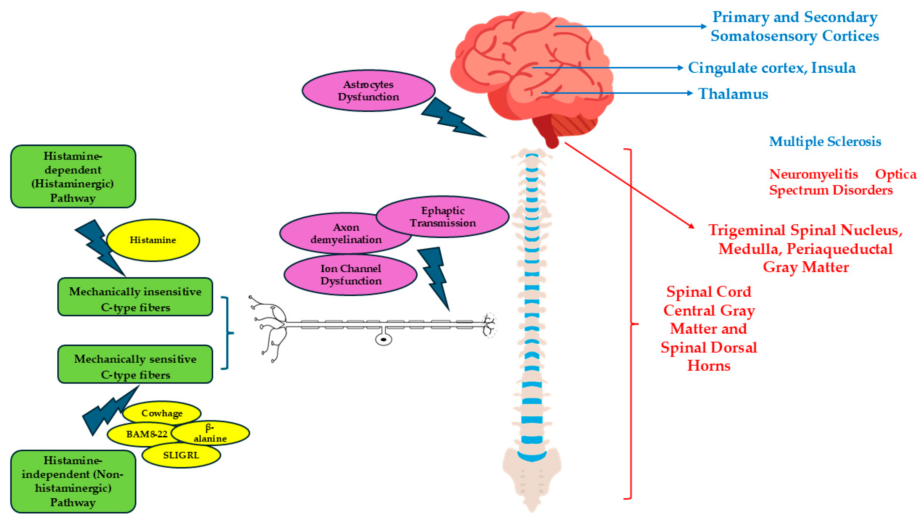 Allergies 05 00032 g002
