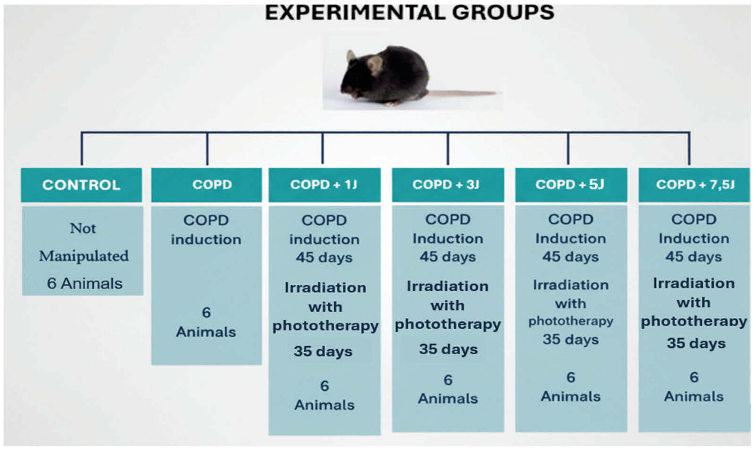 Allergies 05 00033 g001 Allergies 05 00033 g001