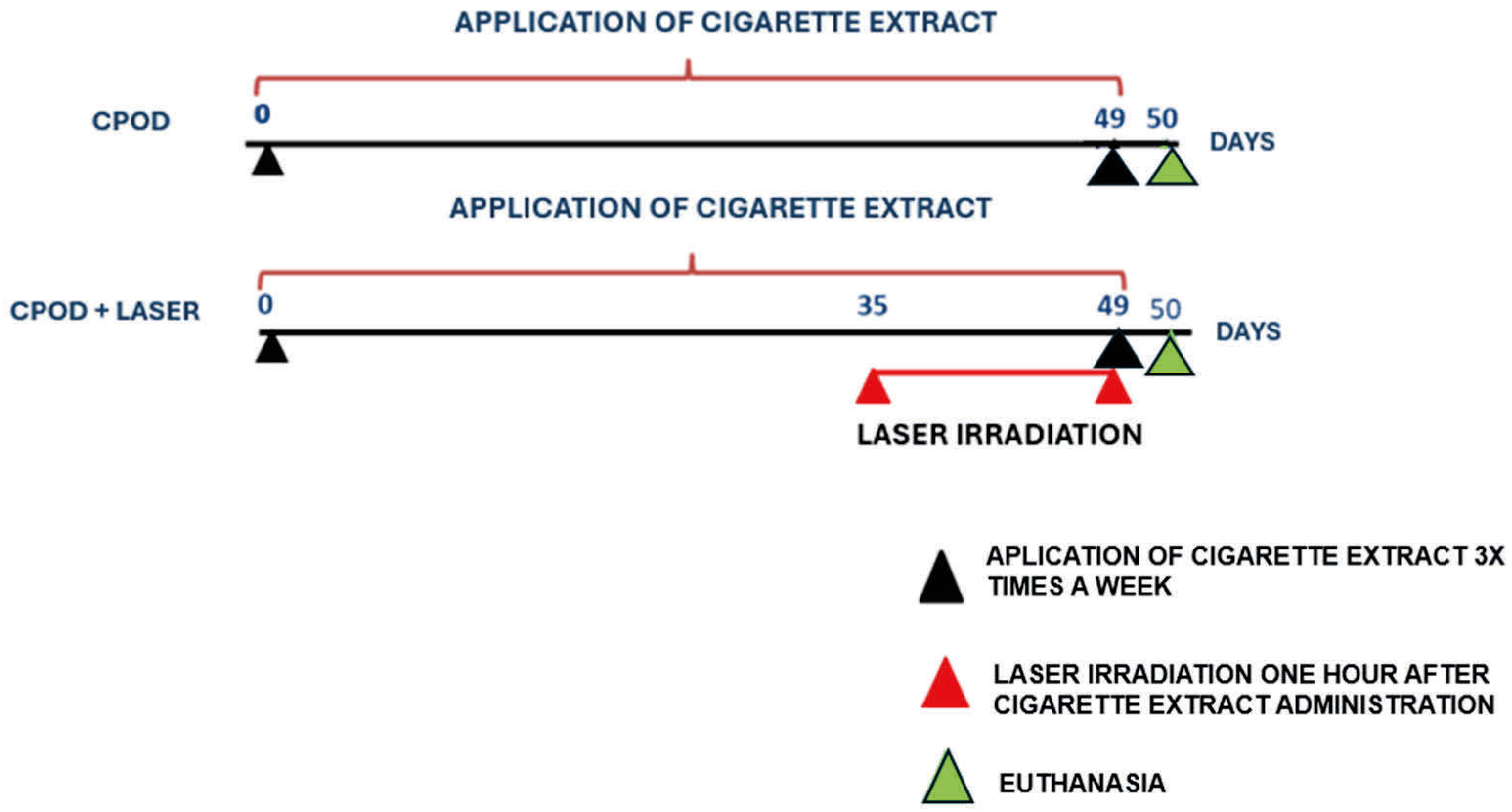Allergies 05 00033 g002 Allergies 05 00033 g002