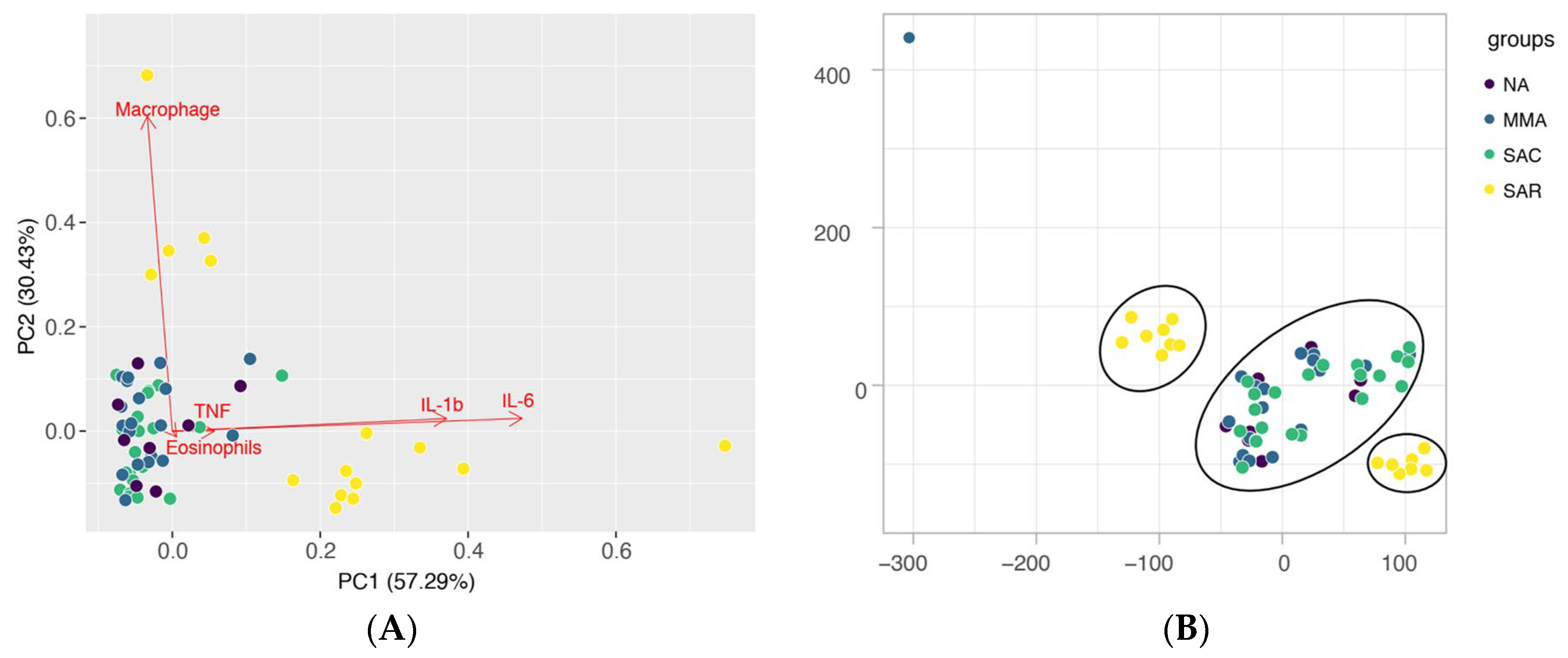Allergies 05 00038 g002 Allergies 05 00038 g002