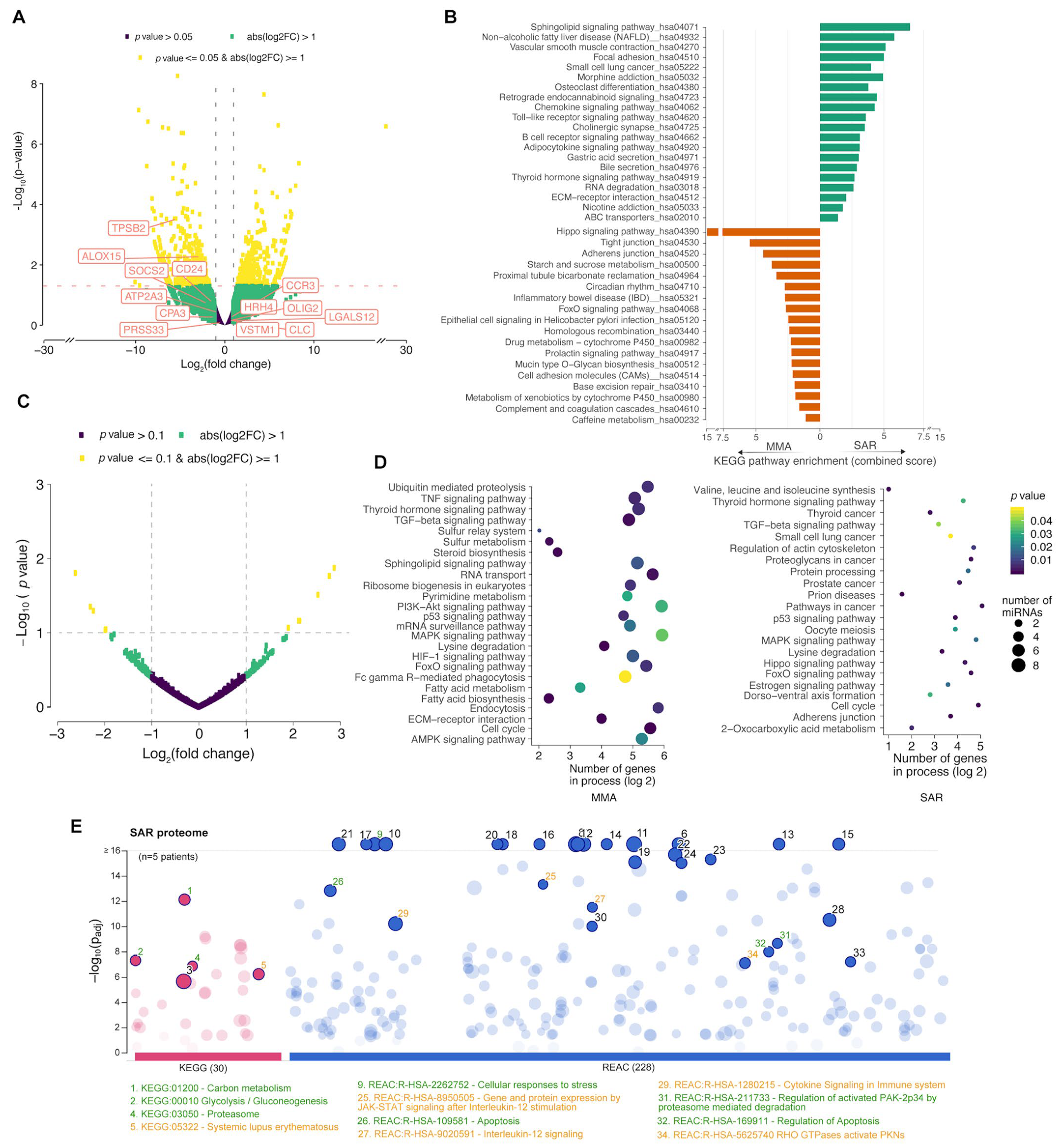 Allergies 05 00038 g003 Allergies 05 00038 g003