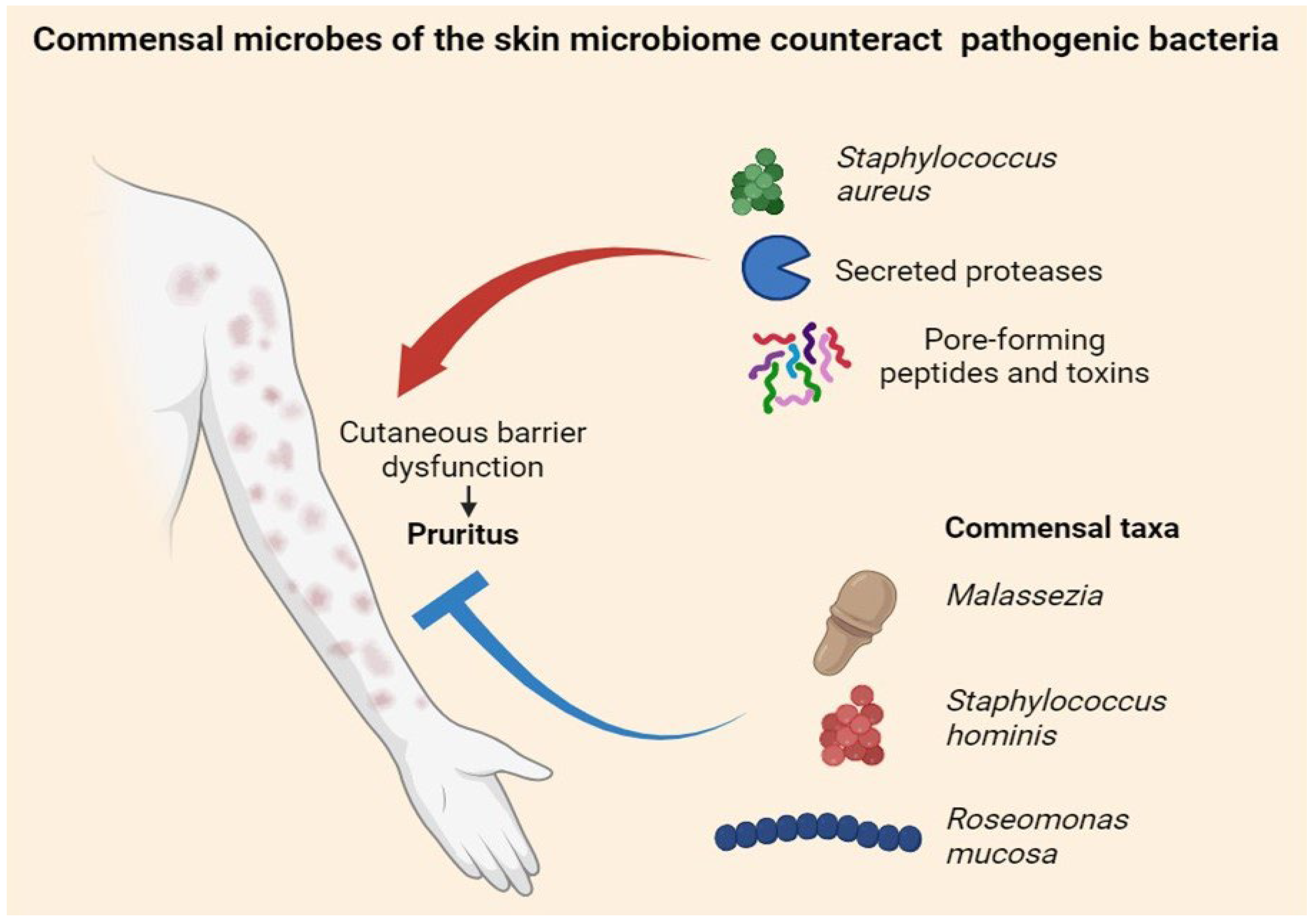 Allergies 05 00041 g001 Allergies 05 00041 g001