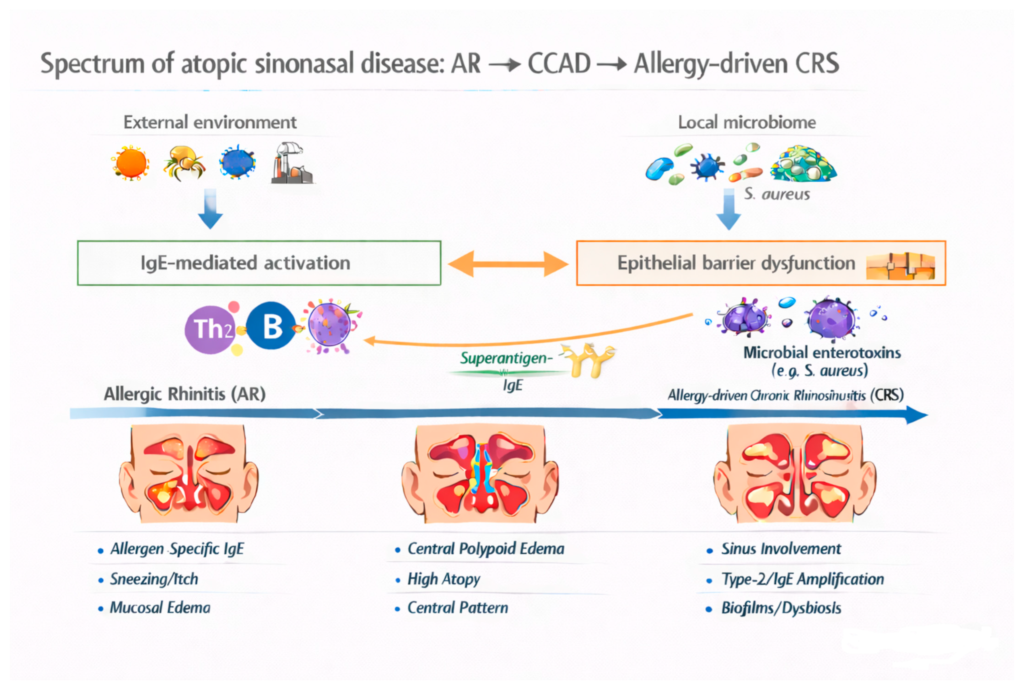 Allergies 06 00014 g001