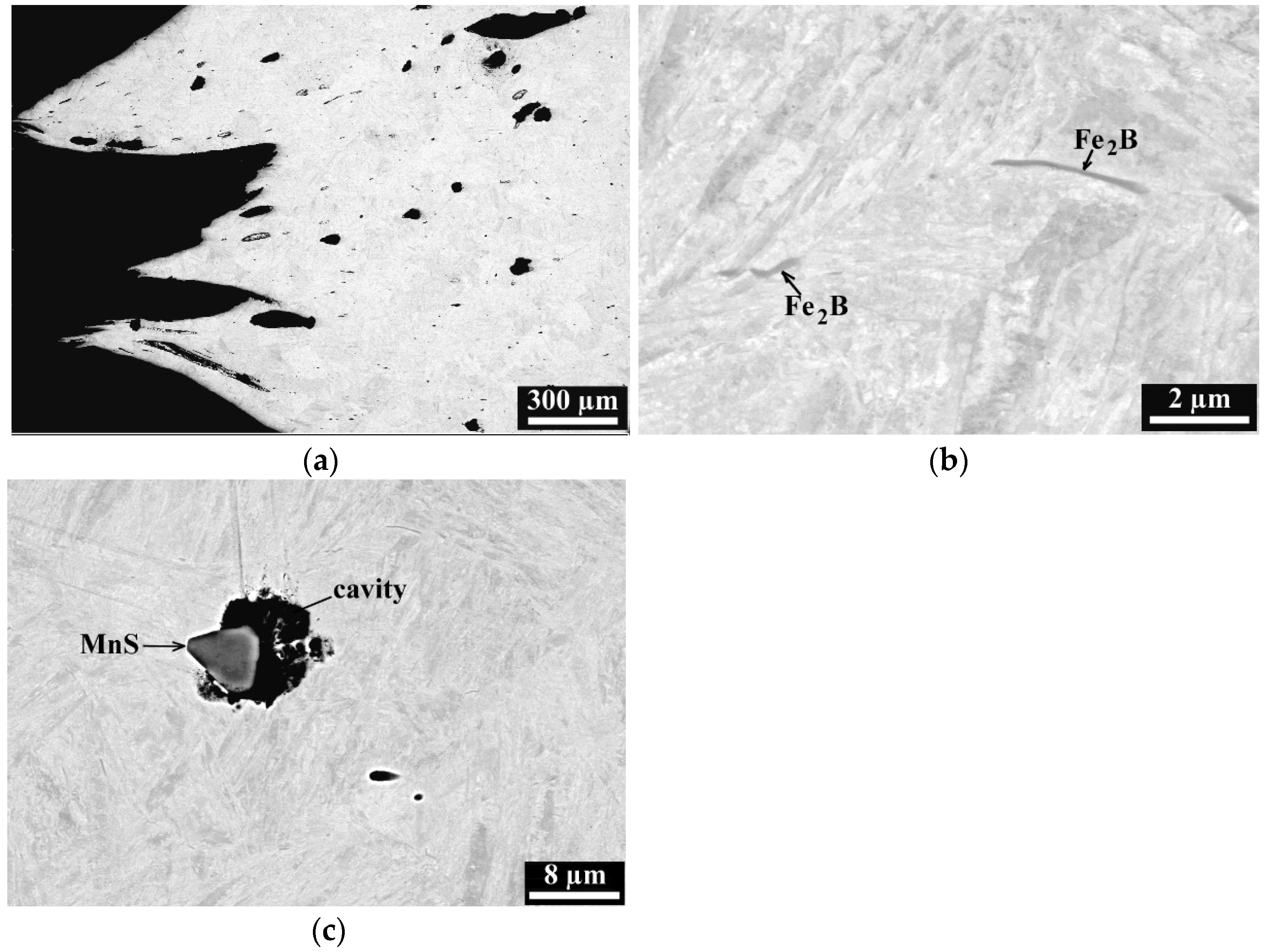 Alloys 01 00009 g017 Alloys 01 00009 g017