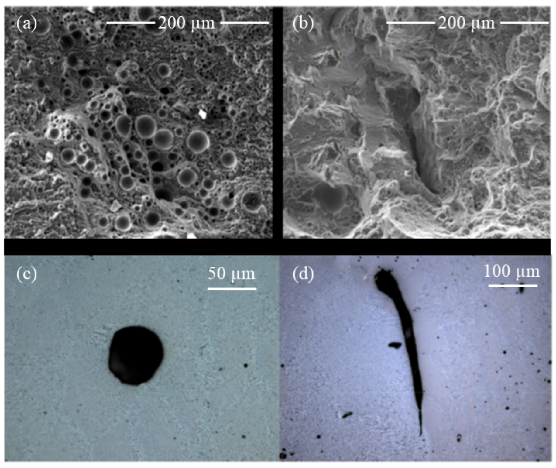 Alloys 01 00010 g009