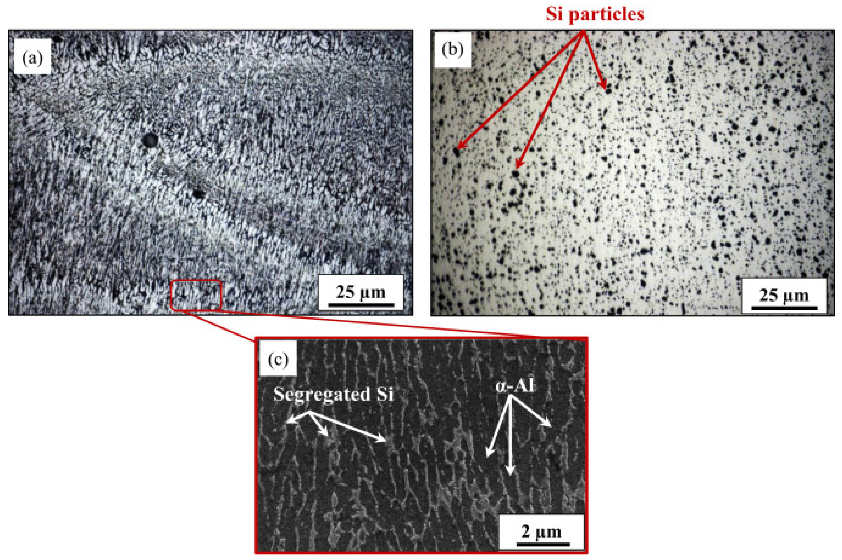 Alloys 01 00010 g015