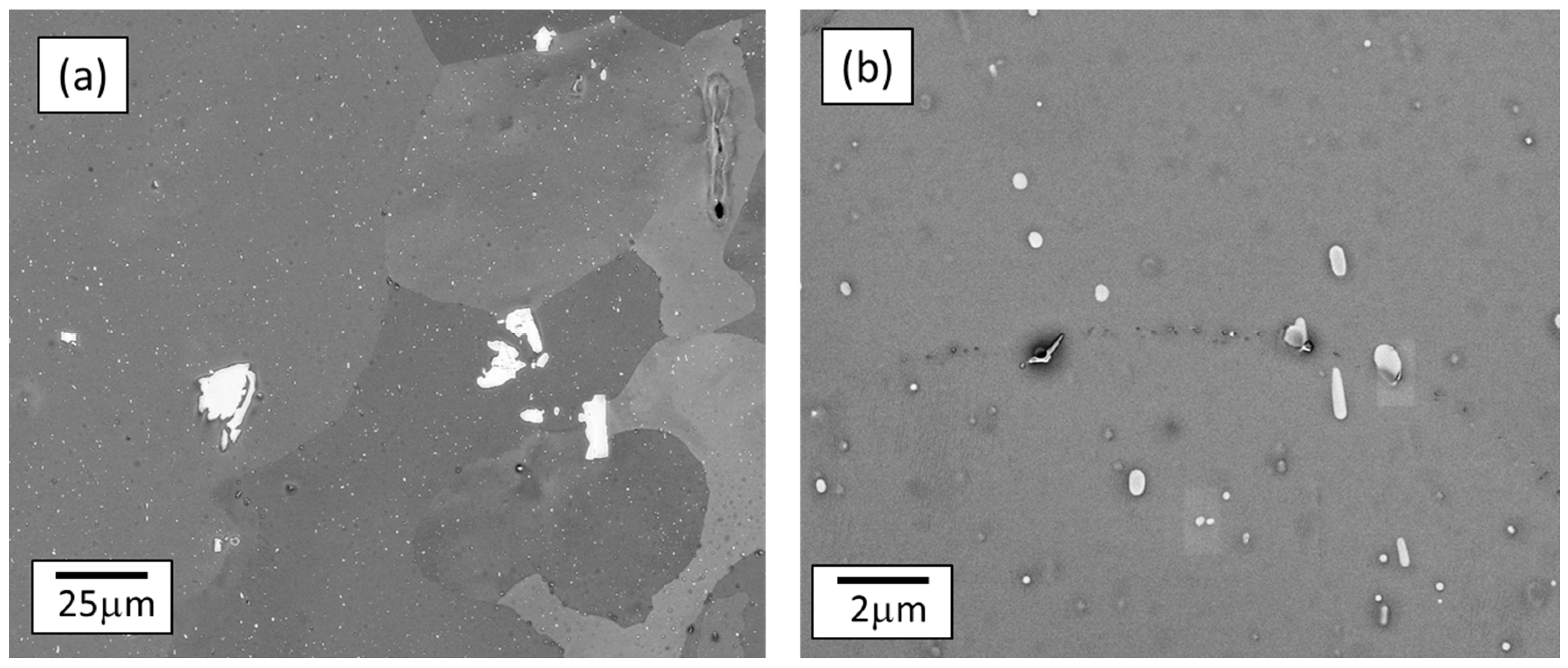 Alloys 01 00011 g001 Alloys 01 00011 g001