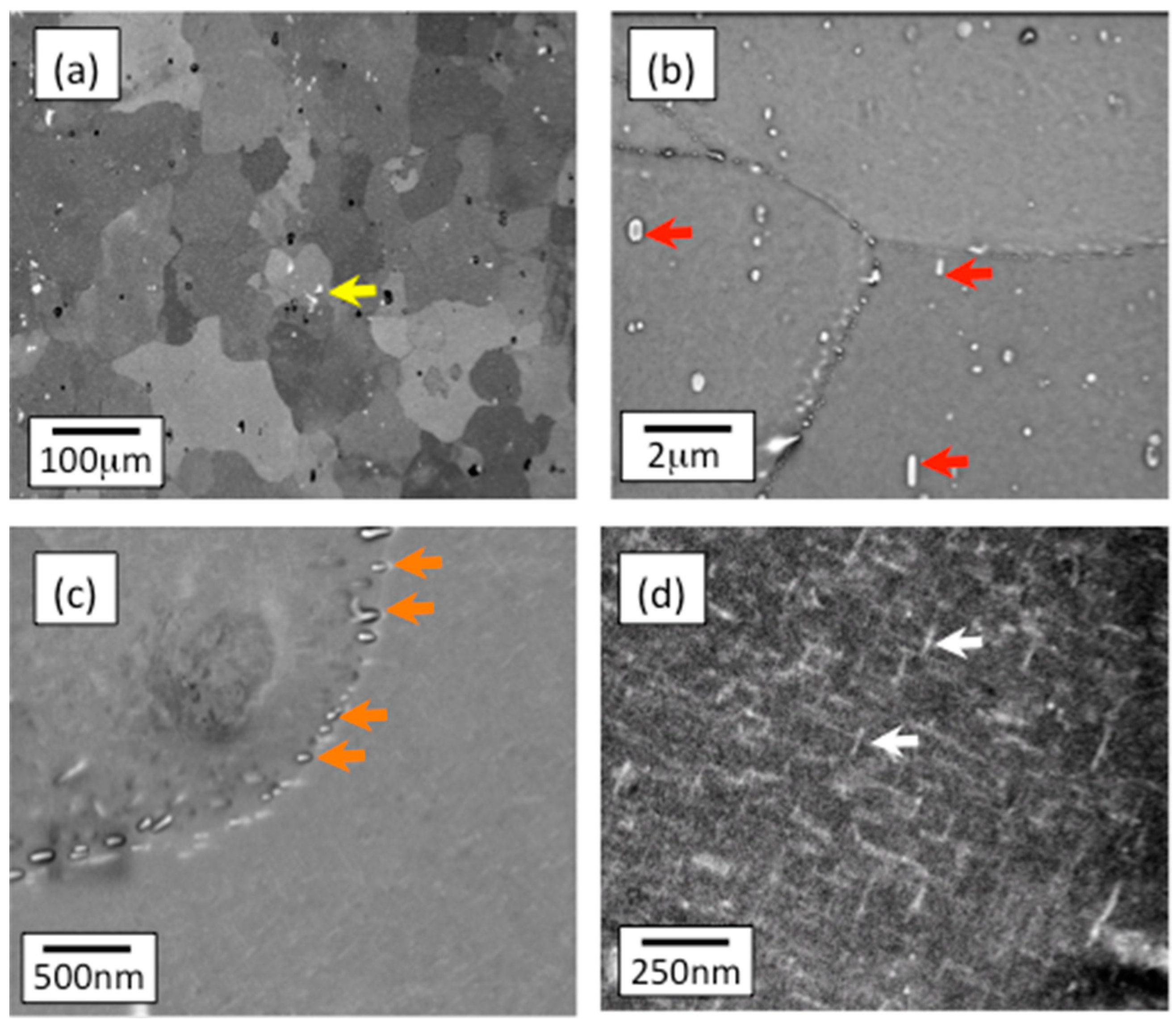 Alloys 01 00011 g006 Alloys 01 00011 g006