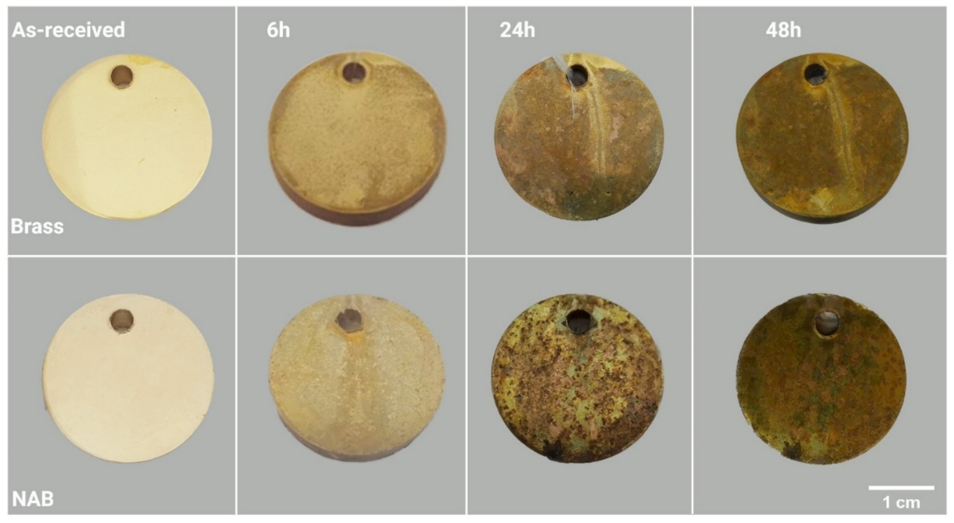 Alloys 01 00012 g005 550