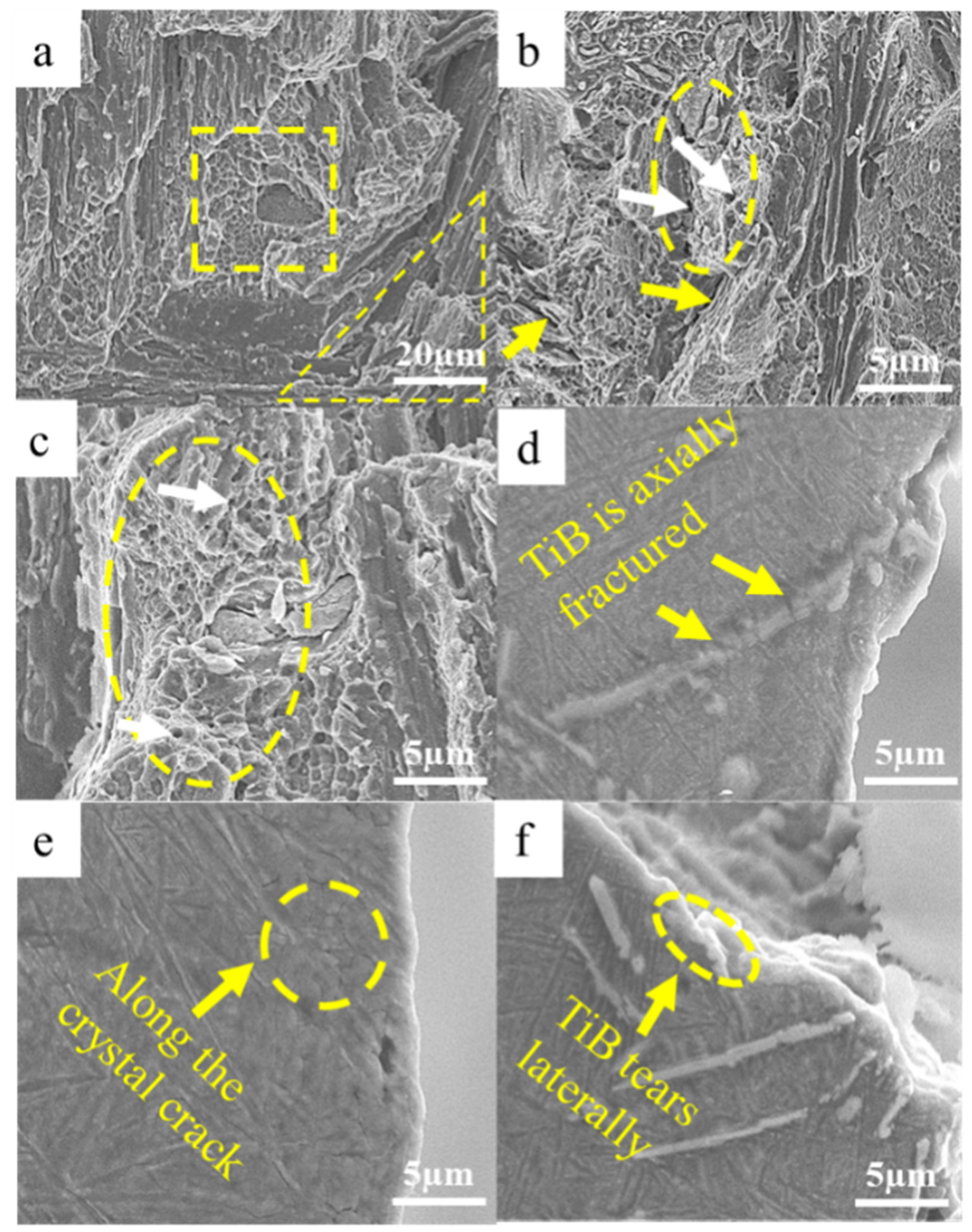 Alloys 02 00019 g011 Alloys 02 00019 g011