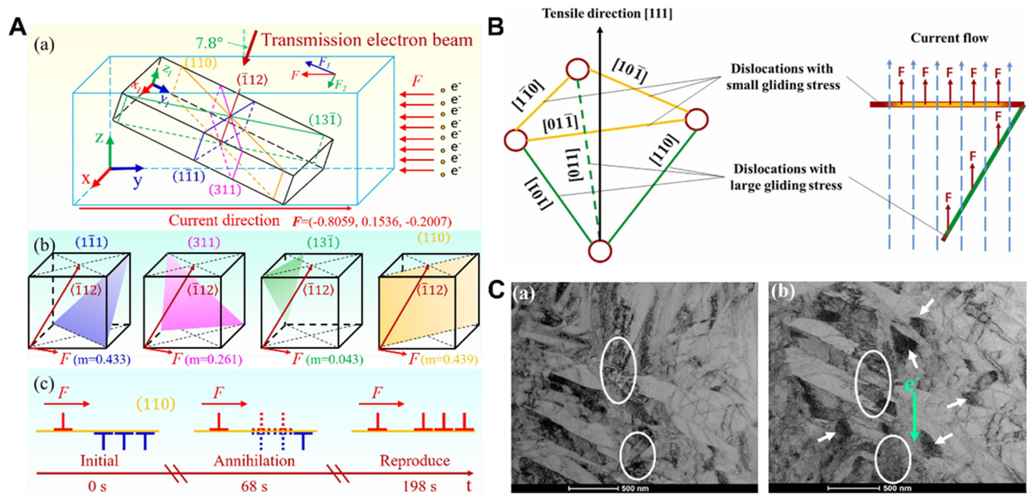 Alloys 03 00006 g008