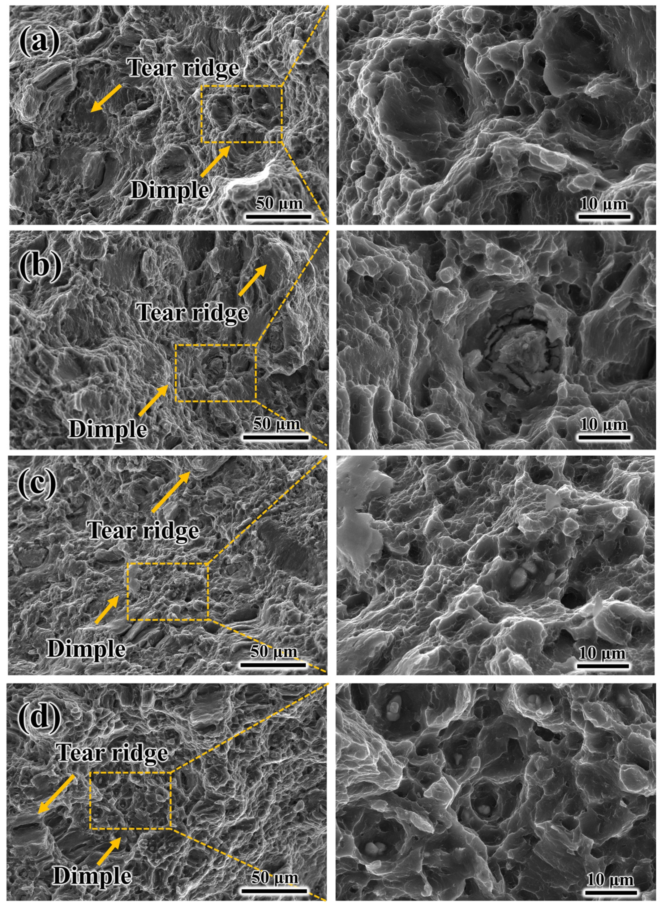 Alloys 03 00008 g008