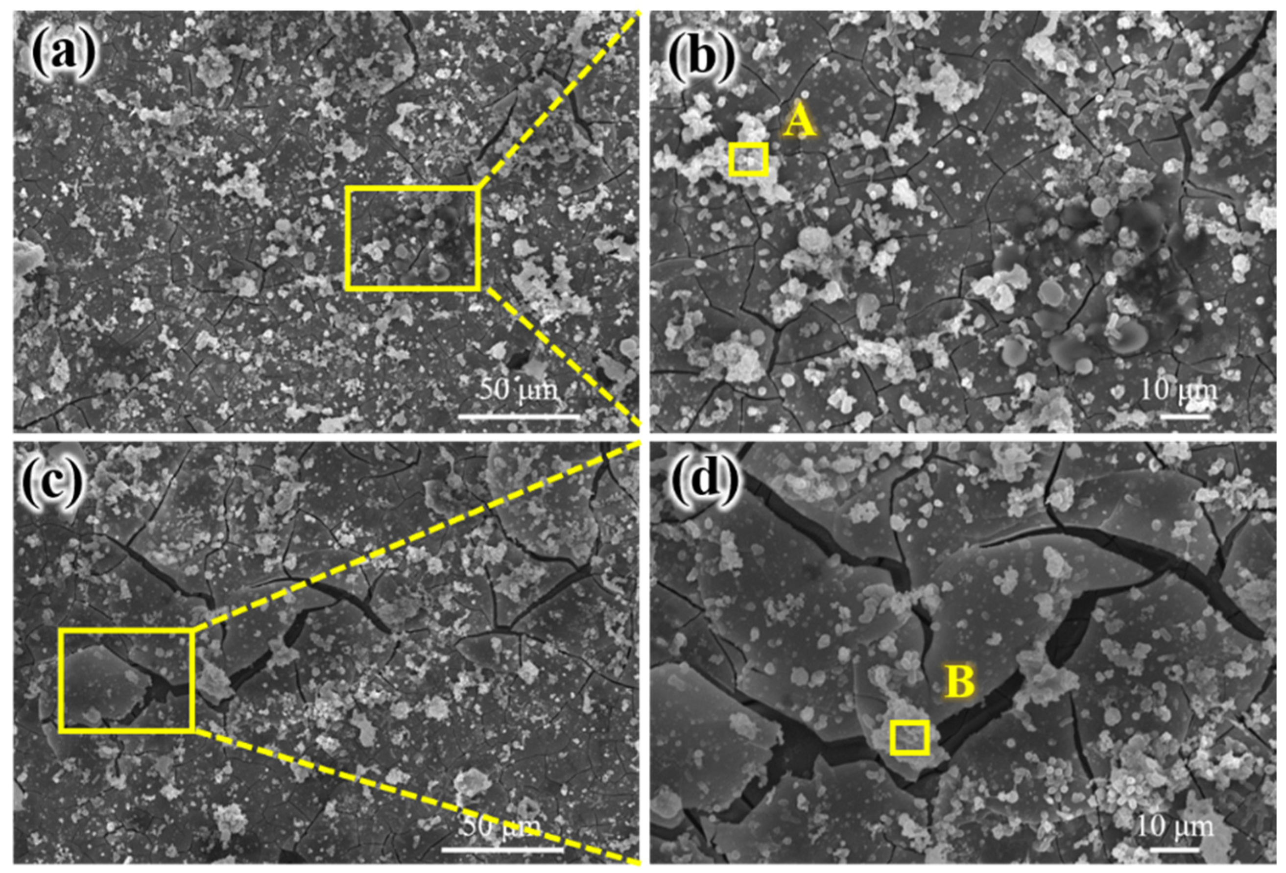 Alloys 03 00008 g014