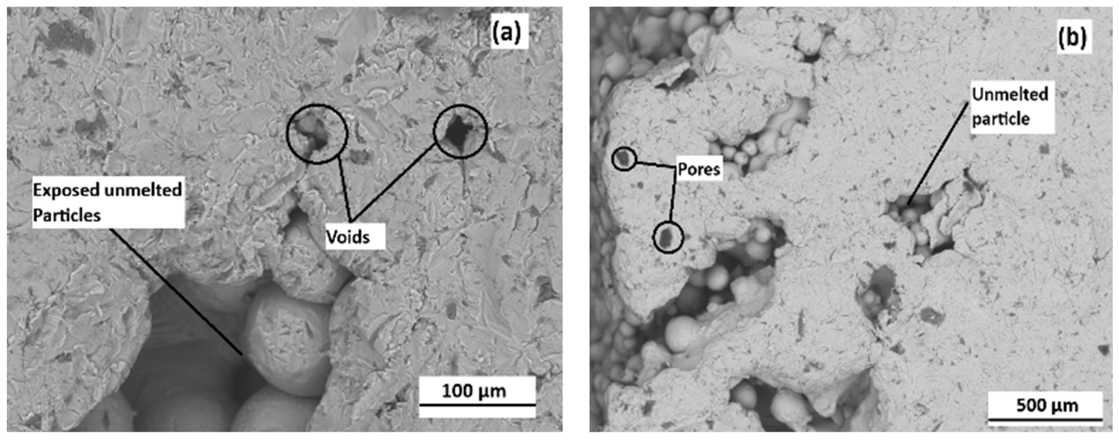 Alloys 03 00015 g005