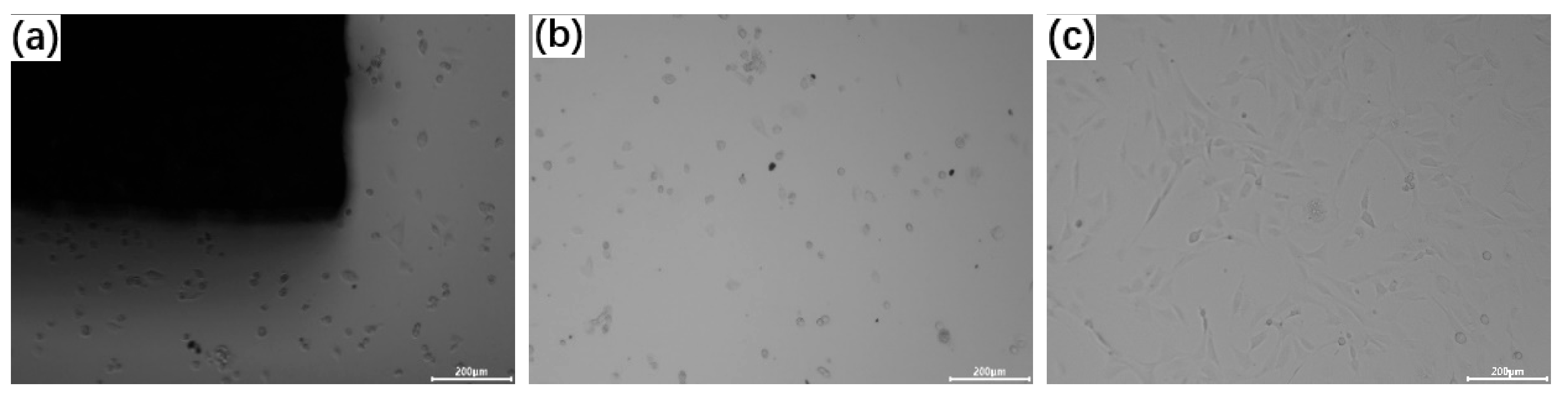 Alloys 03 00016 g007