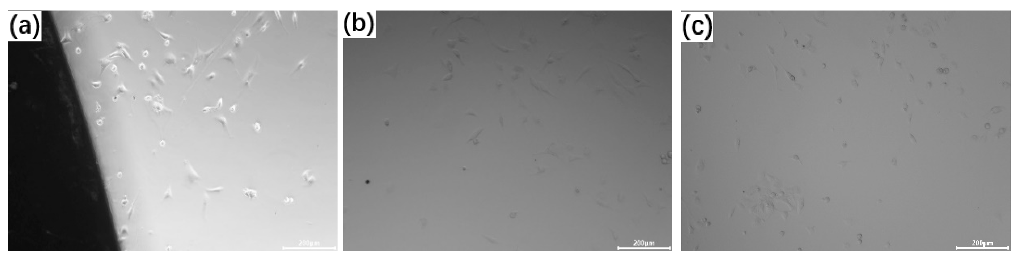 Alloys 03 00016 g008