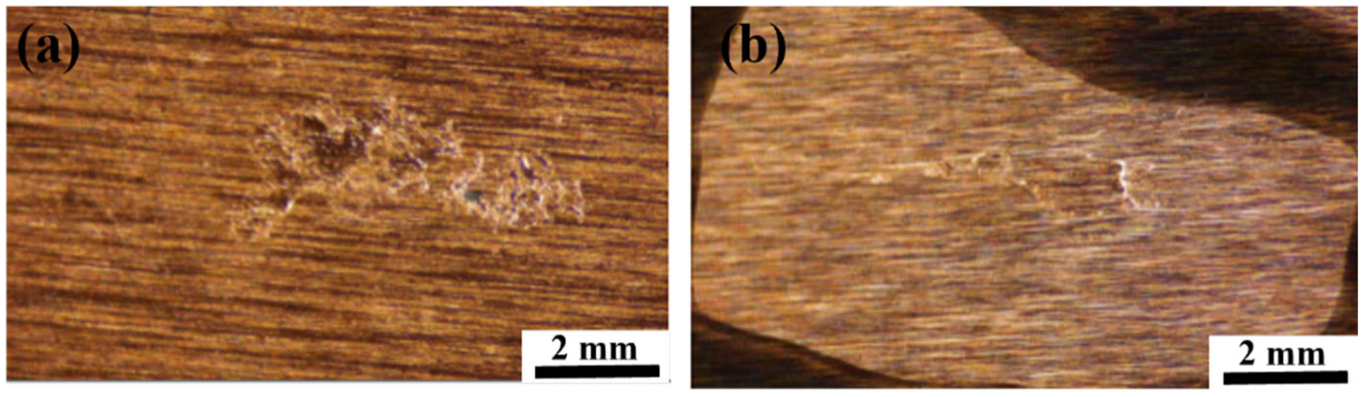 Alloys 04 00008 g003
