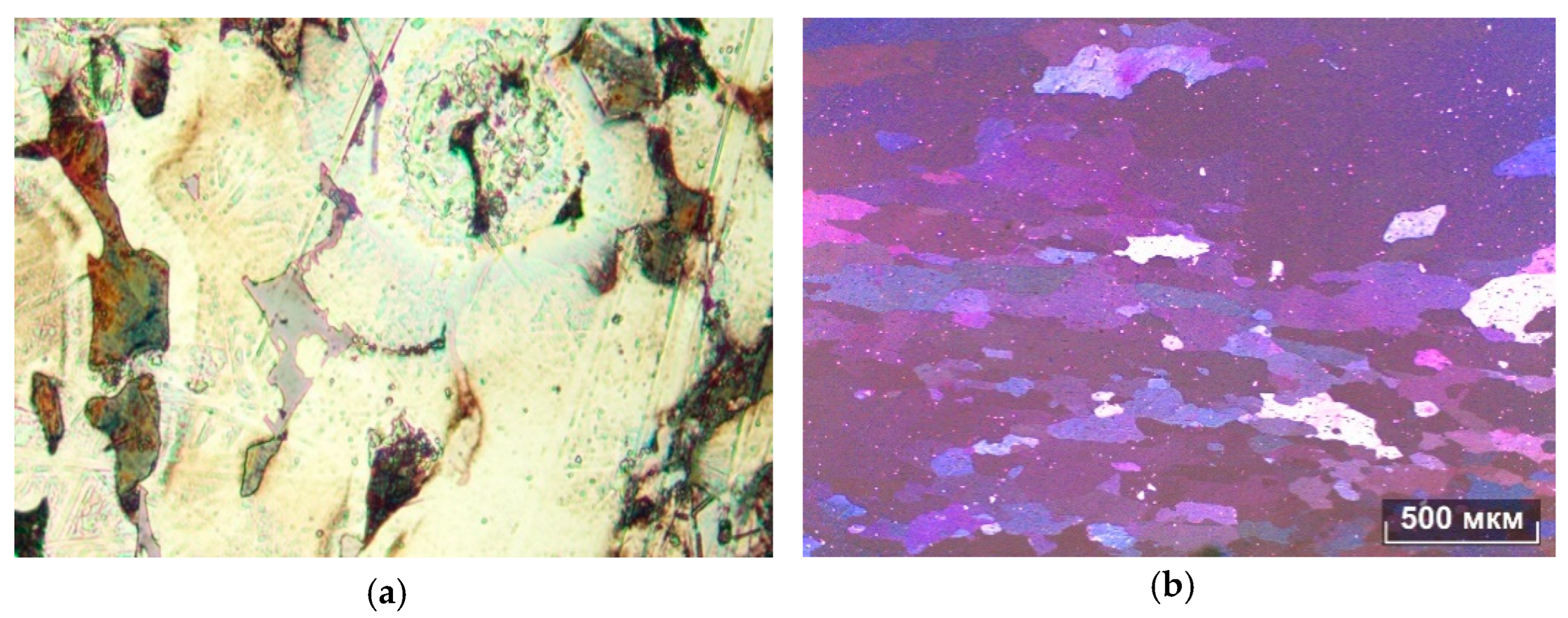 Alloys 04 00010 g005