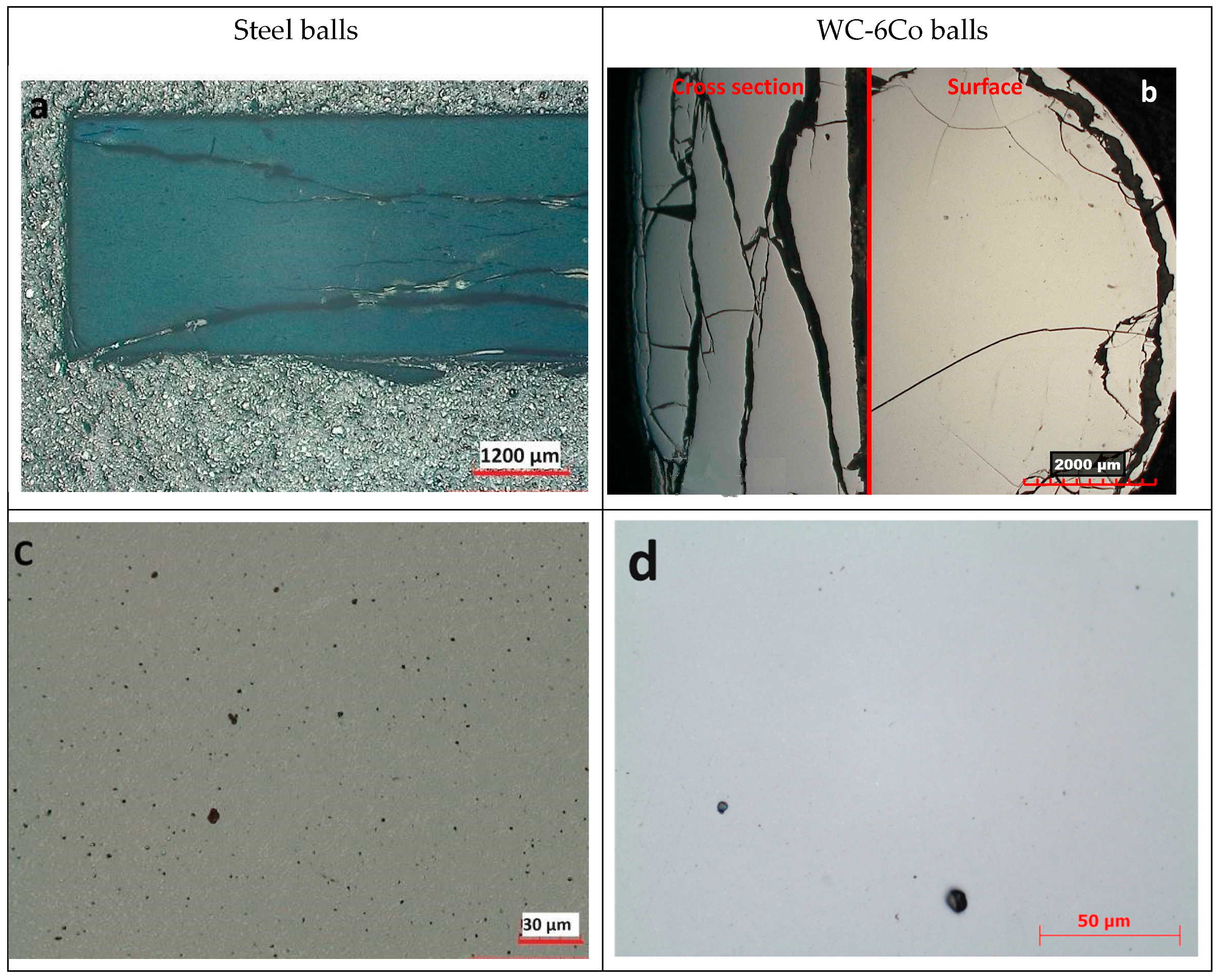 Alloys 04 00015 g005