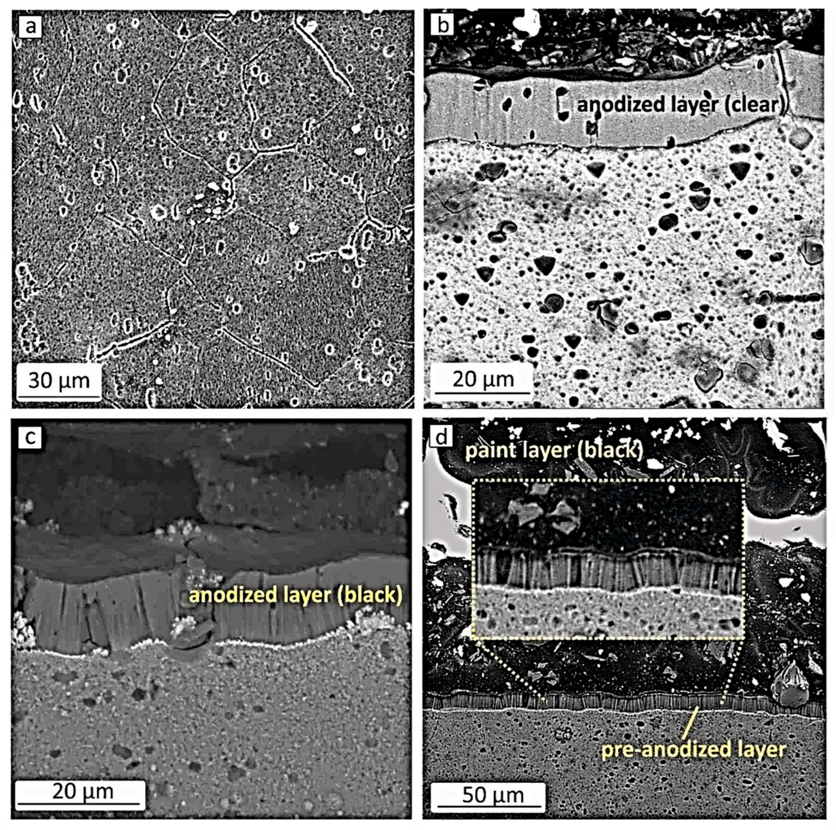 Alloys 04 00017 g002