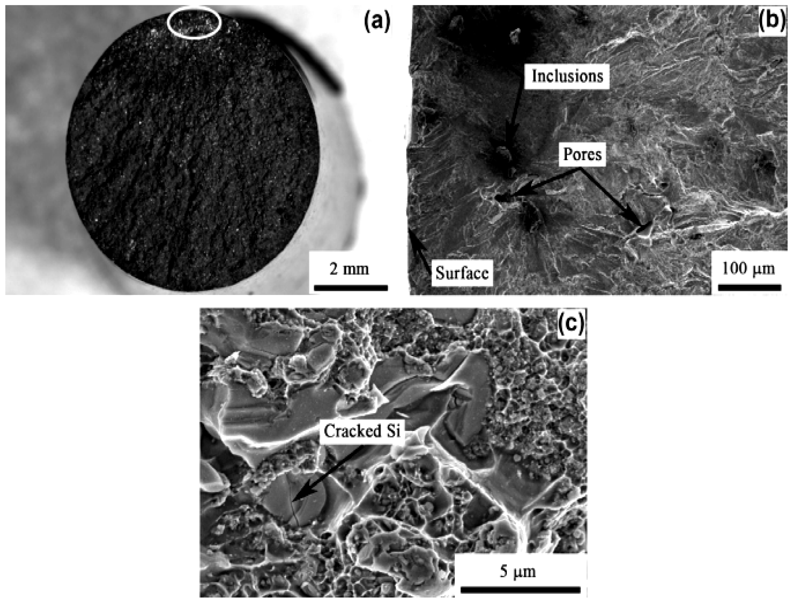 Alloys 04 00018 g031 Alloys 04 00018 g031