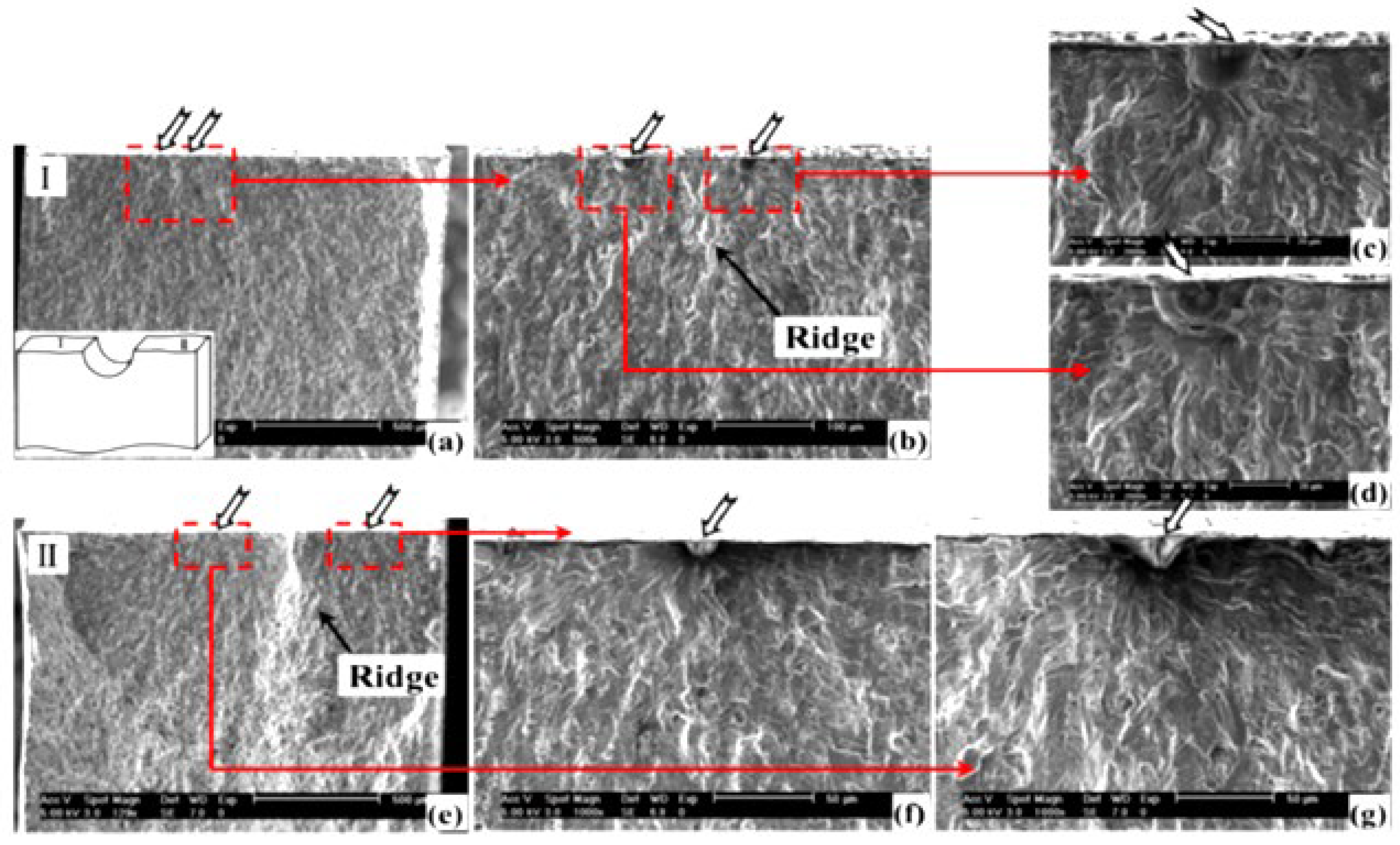 Alloys 04 00018 g040 Alloys 04 00018 g040