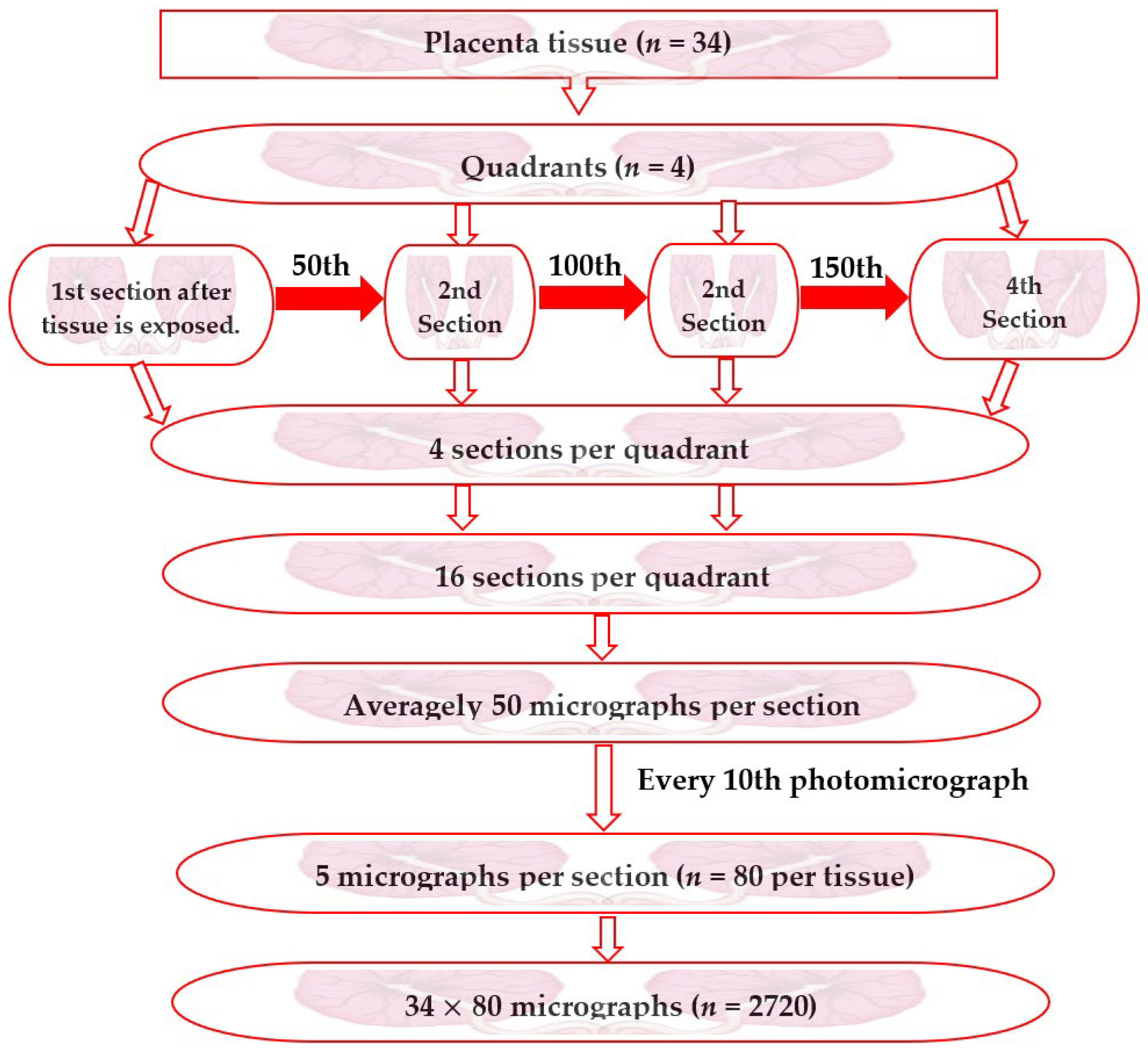Amh 69 00005 g001 Amh 69 00005 g001
