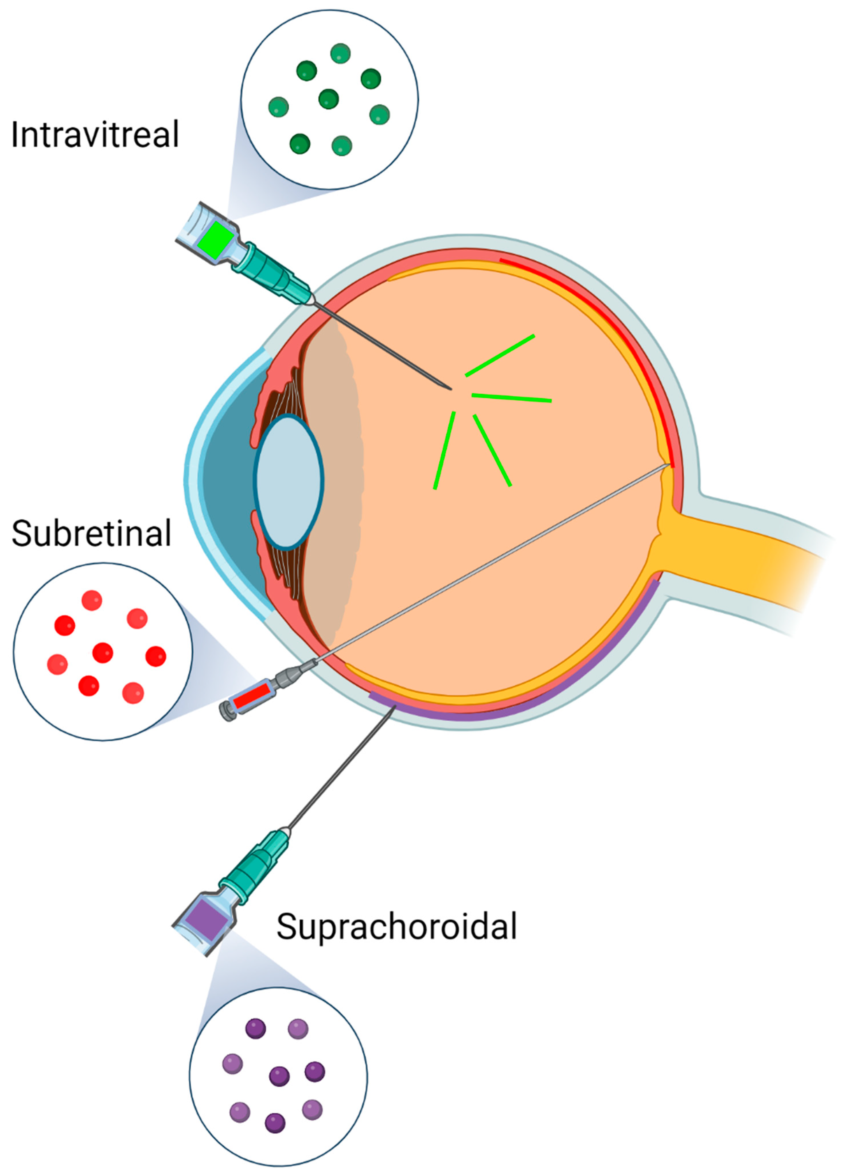 Amh 69 00018 g001 Amh 69 00018 g001