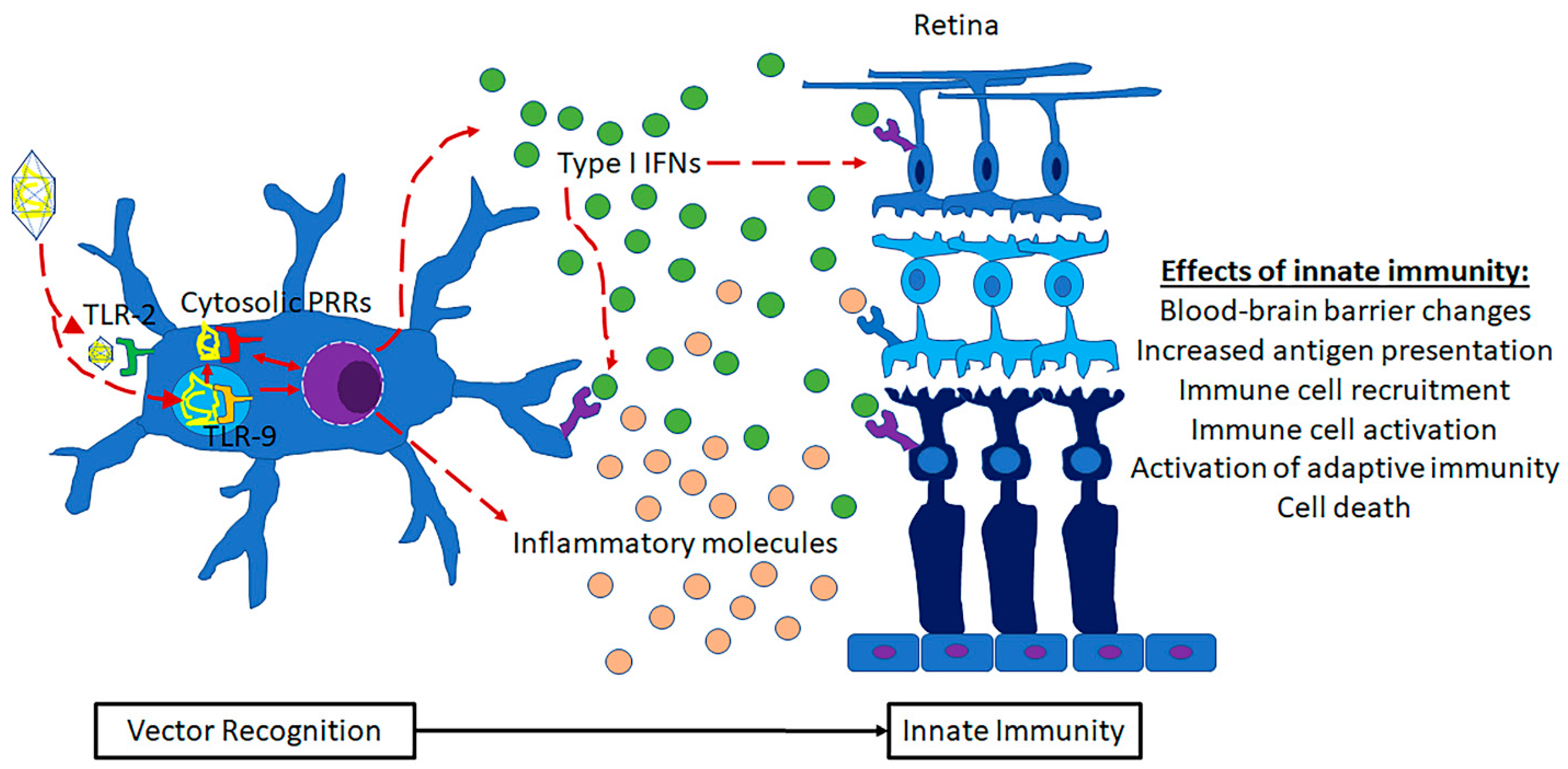 Amh 69 00018 g002 Amh 69 00018 g002
