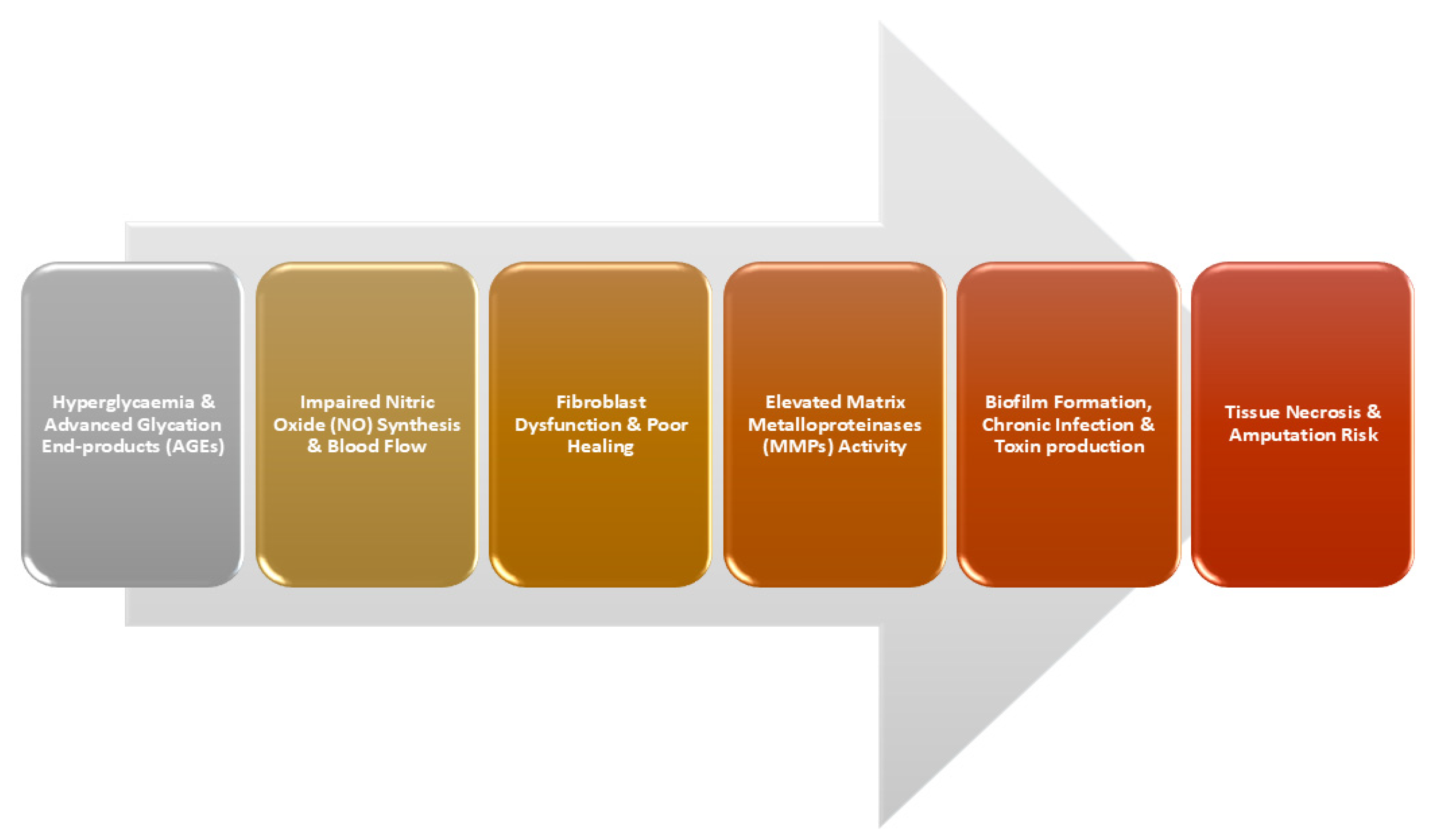 Amh 70 00009 g002 Amh 70 00009 g002