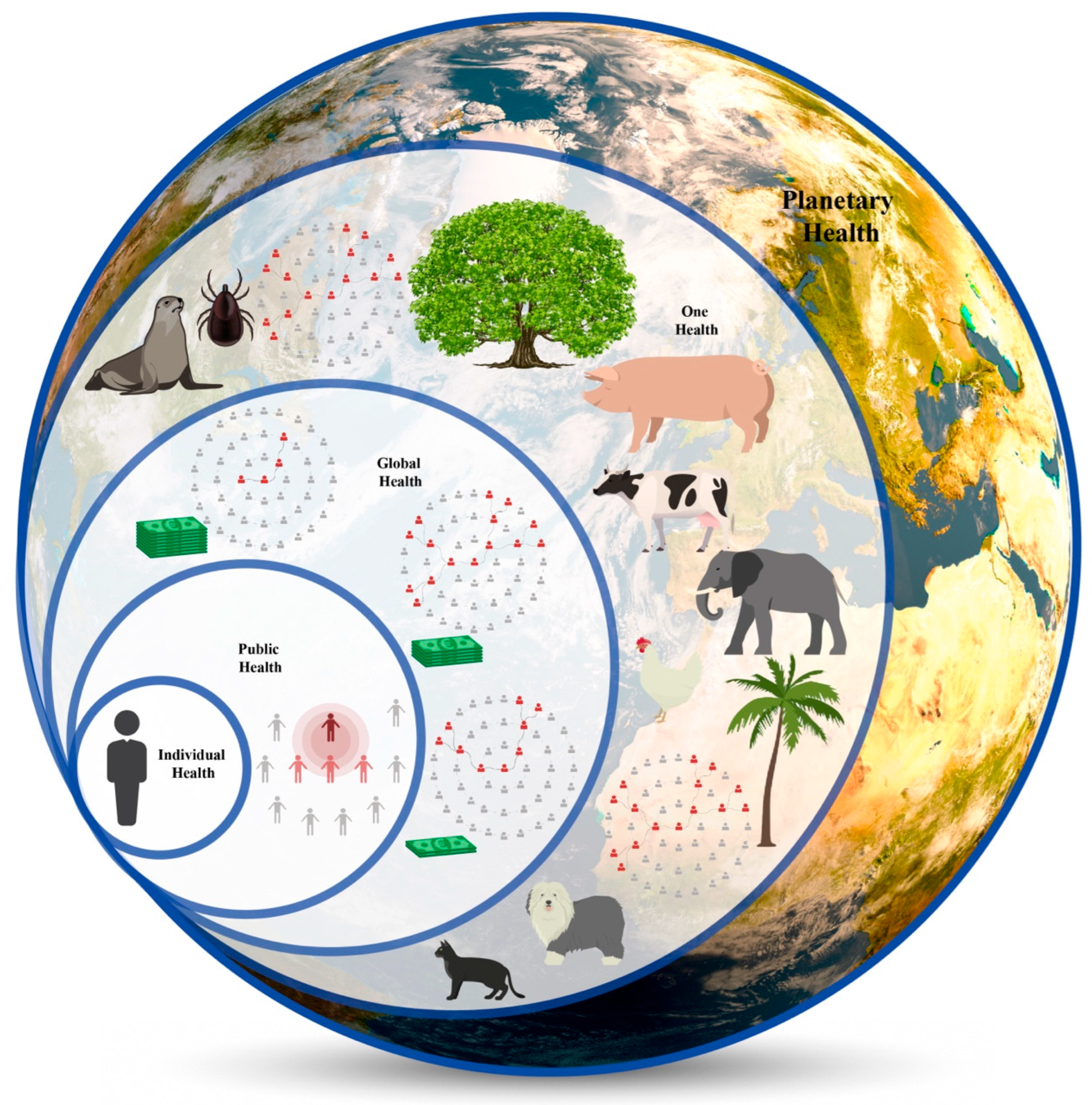 Amh 70 00025 g001 Amh 70 00025 g001