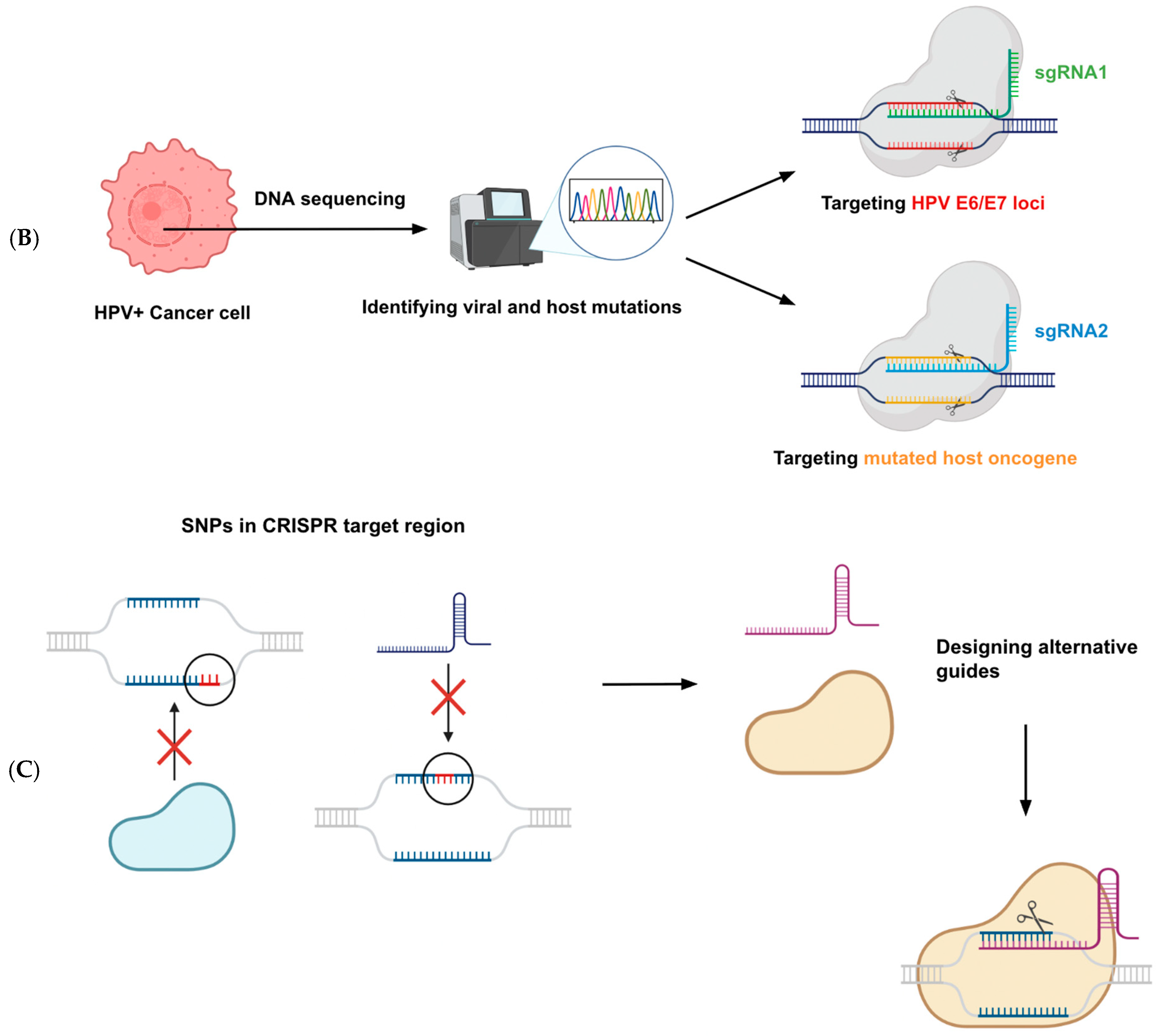 Amh 70 00041 g003b Amh 70 00041 g003b