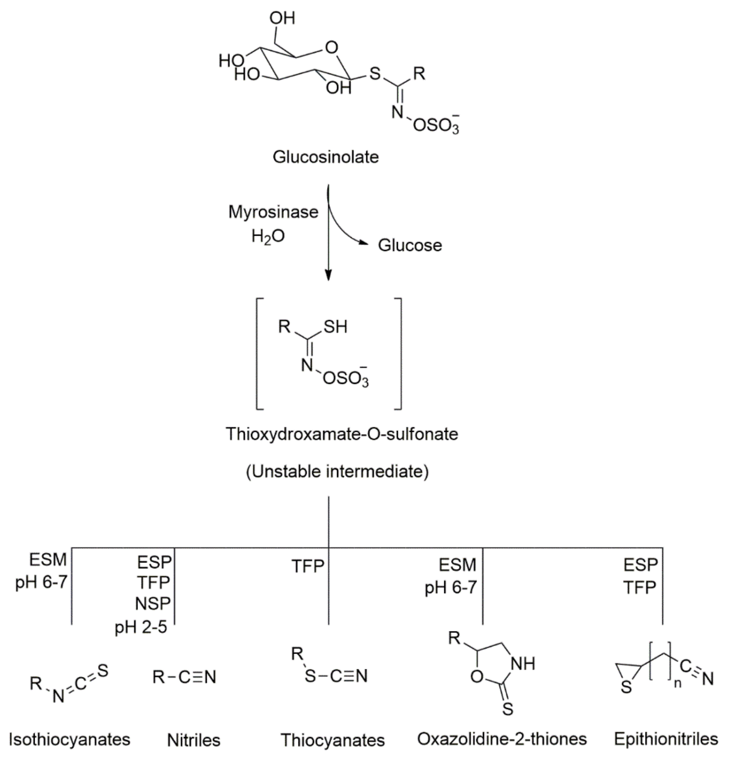 Analytica 02 00011 g001 550