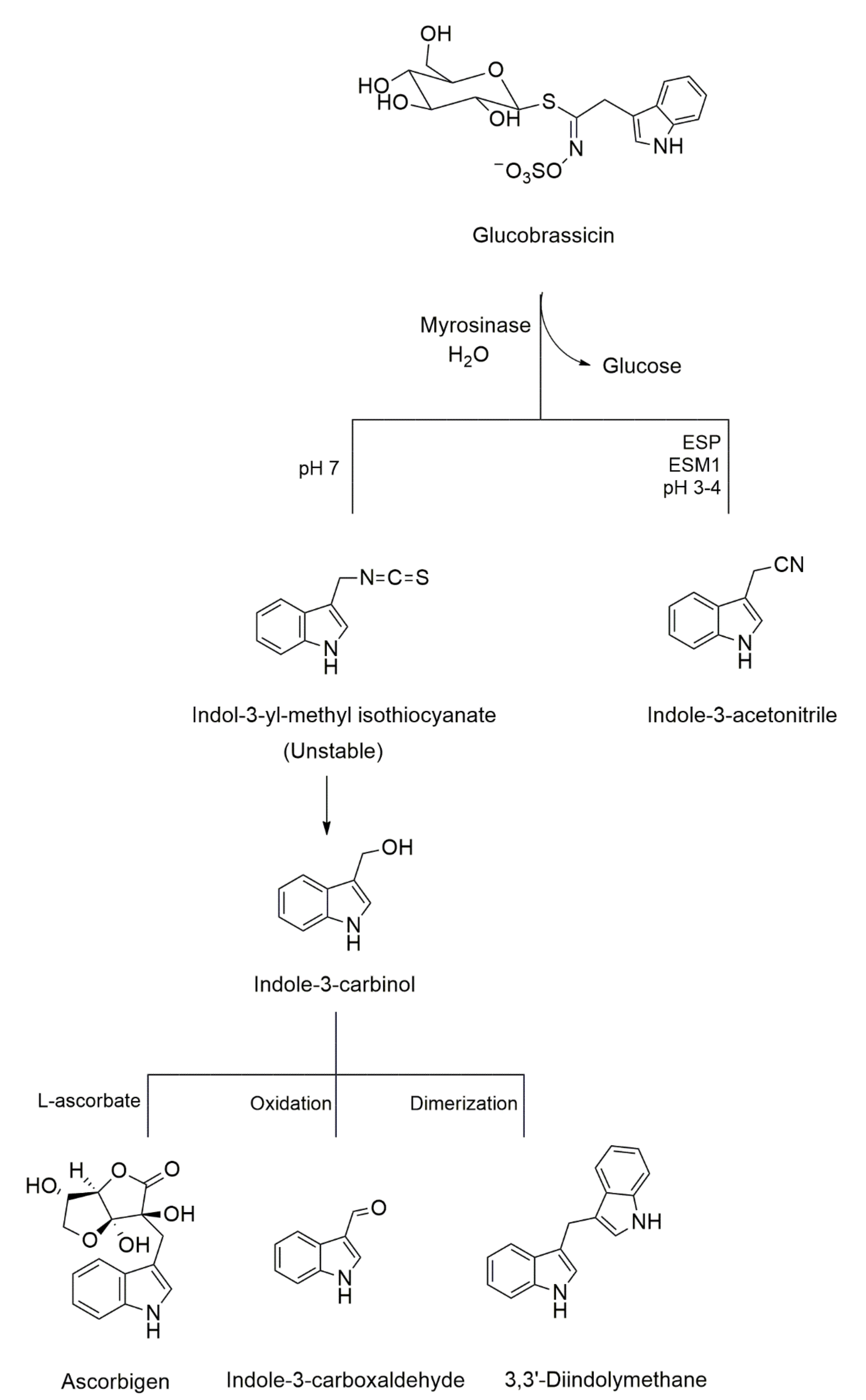 Analytica 02 00011 g002 550
